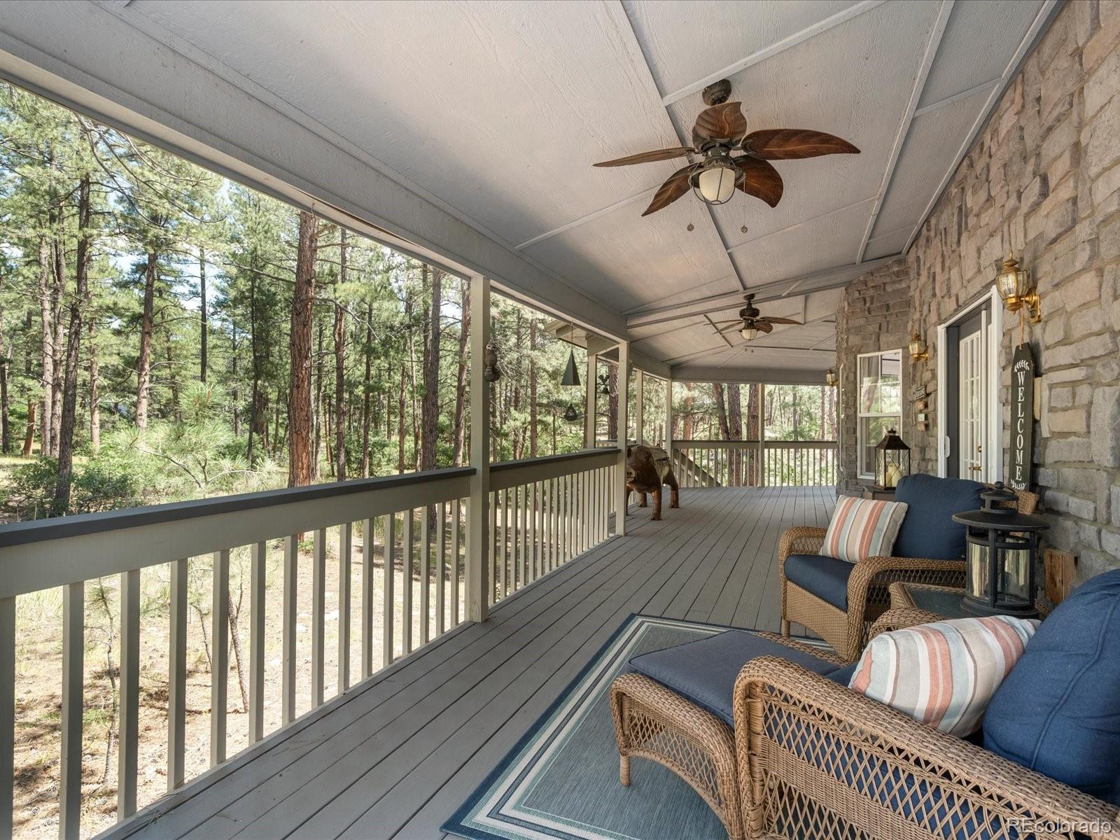 MLS Image #33 for 434 s white tail drive,franktown, Colorado