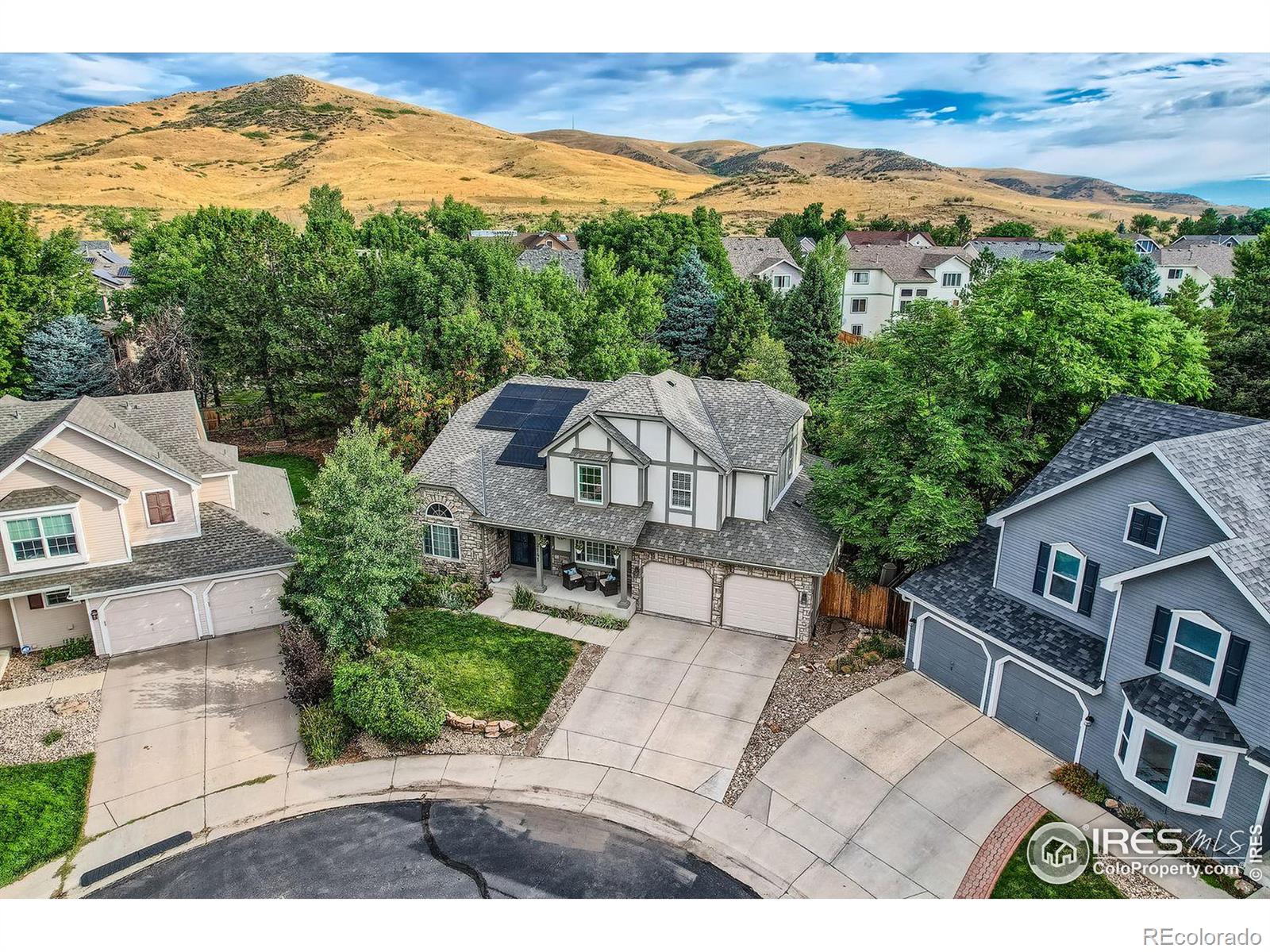 Report Image for 2141 S Flora Court,Lakewood, Colorado