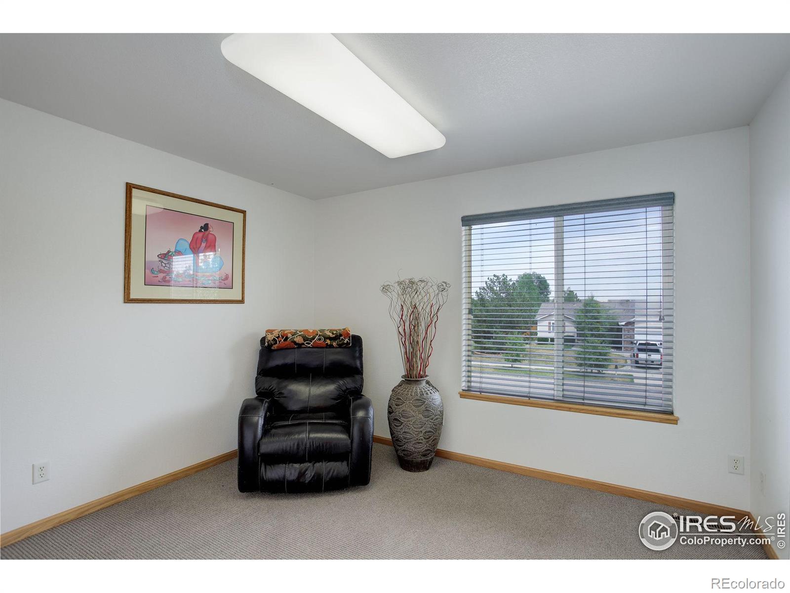 MLS Image #15 for 7285  kit fox drive,wellington, Colorado