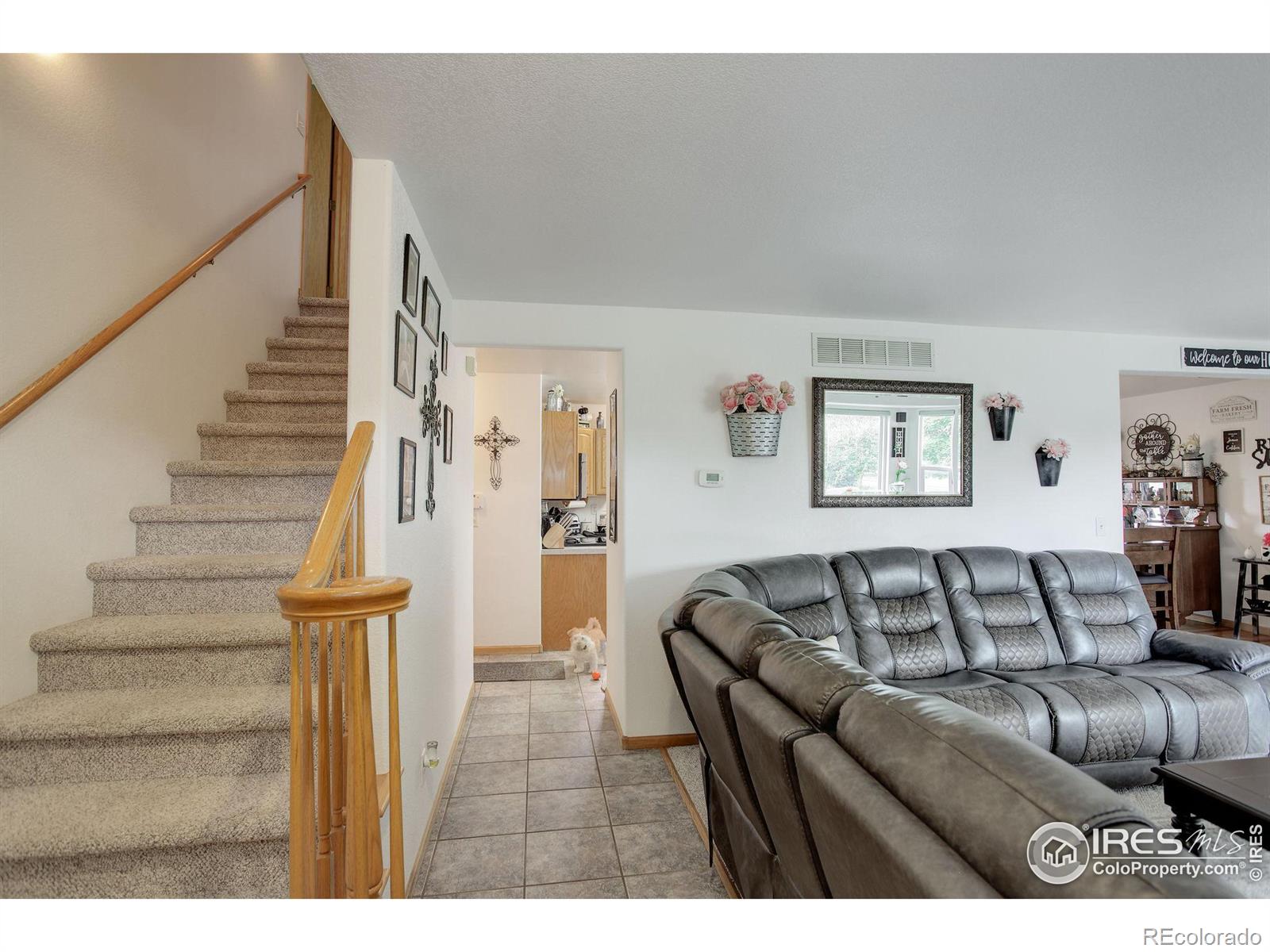 MLS Image #20 for 7285  kit fox drive,wellington, Colorado