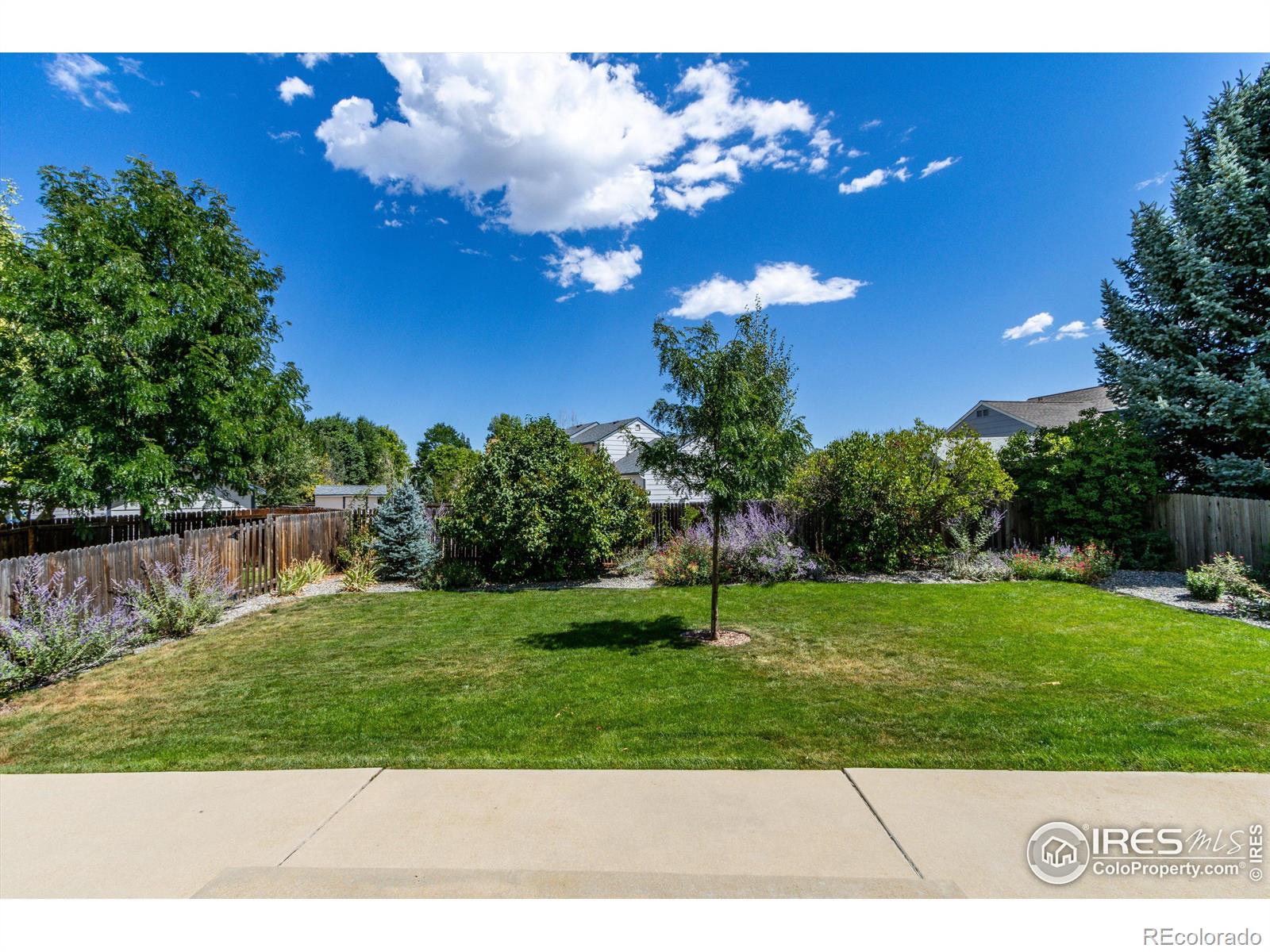 MLS Image #30 for 1102  red oak drive,longmont, Colorado