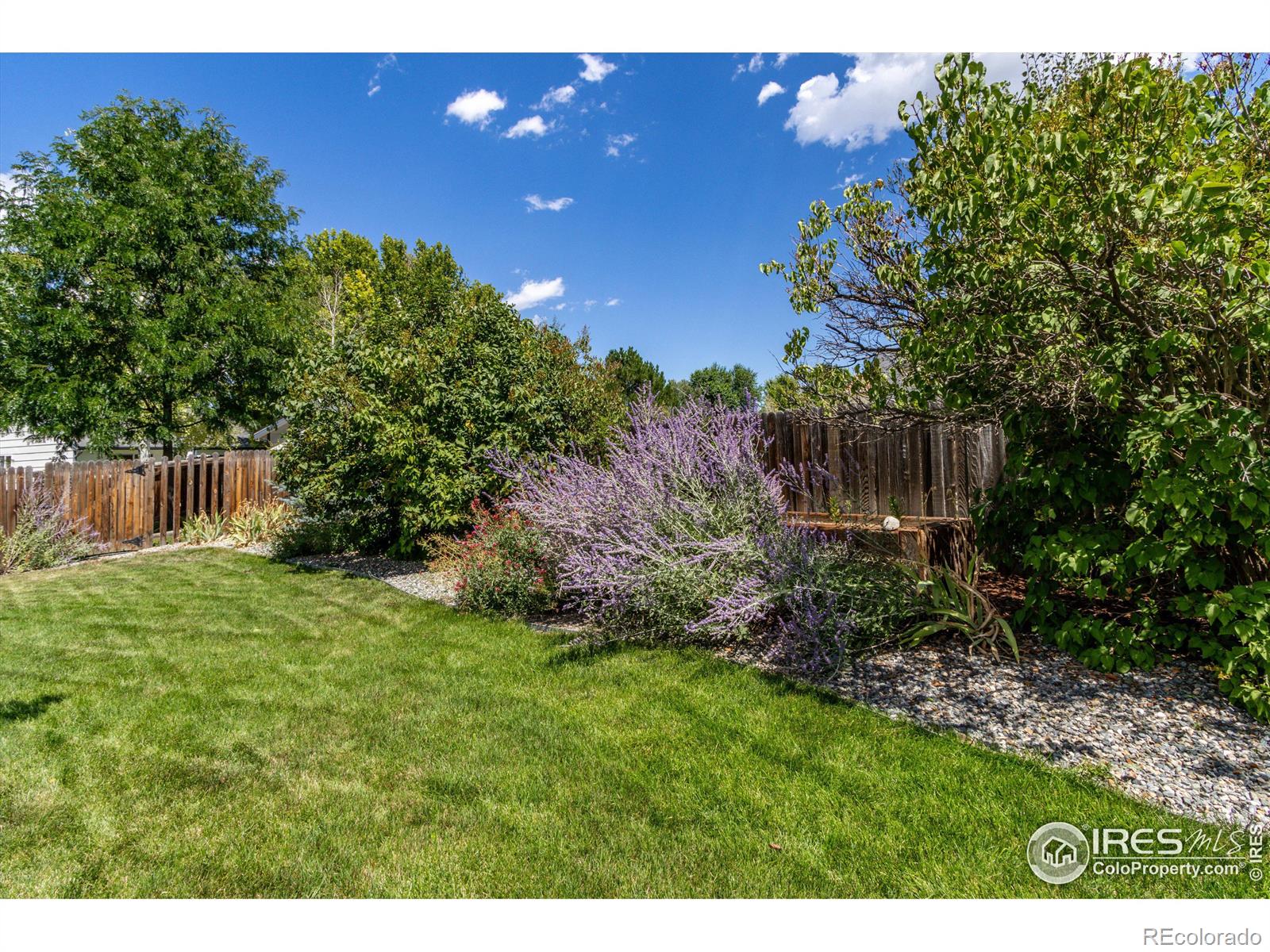 MLS Image #31 for 1102  red oak drive,longmont, Colorado