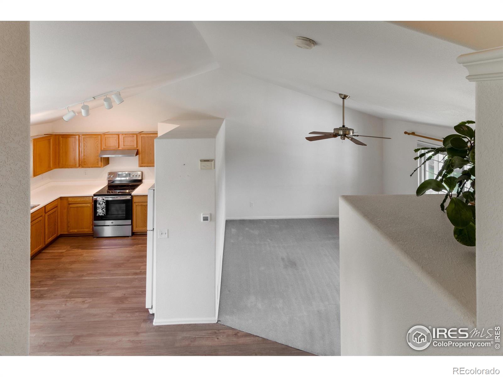 MLS Image #7 for 1102  red oak drive,longmont, Colorado