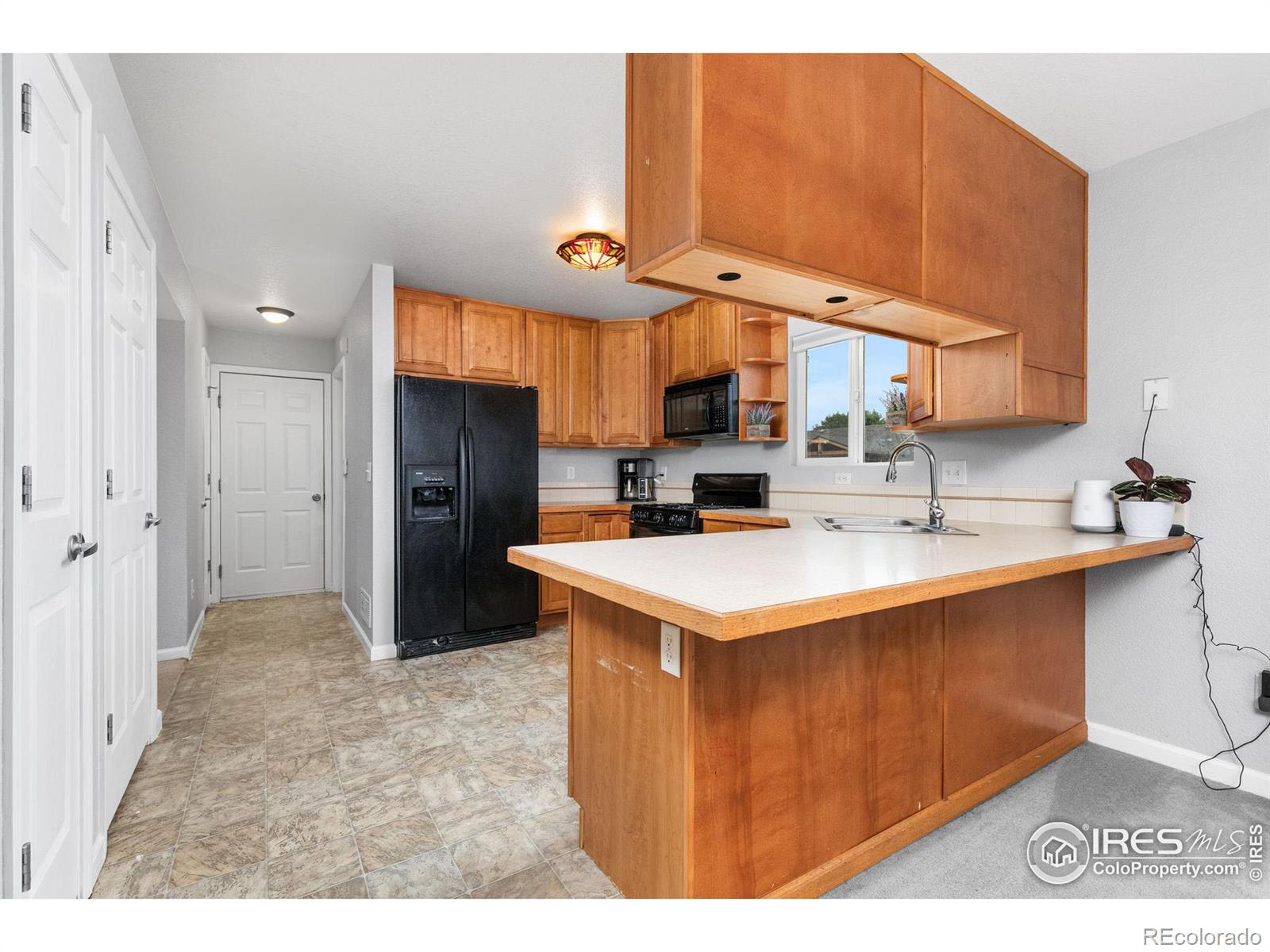 MLS Image #7 for 6924  carlyle lane,wellington, Colorado