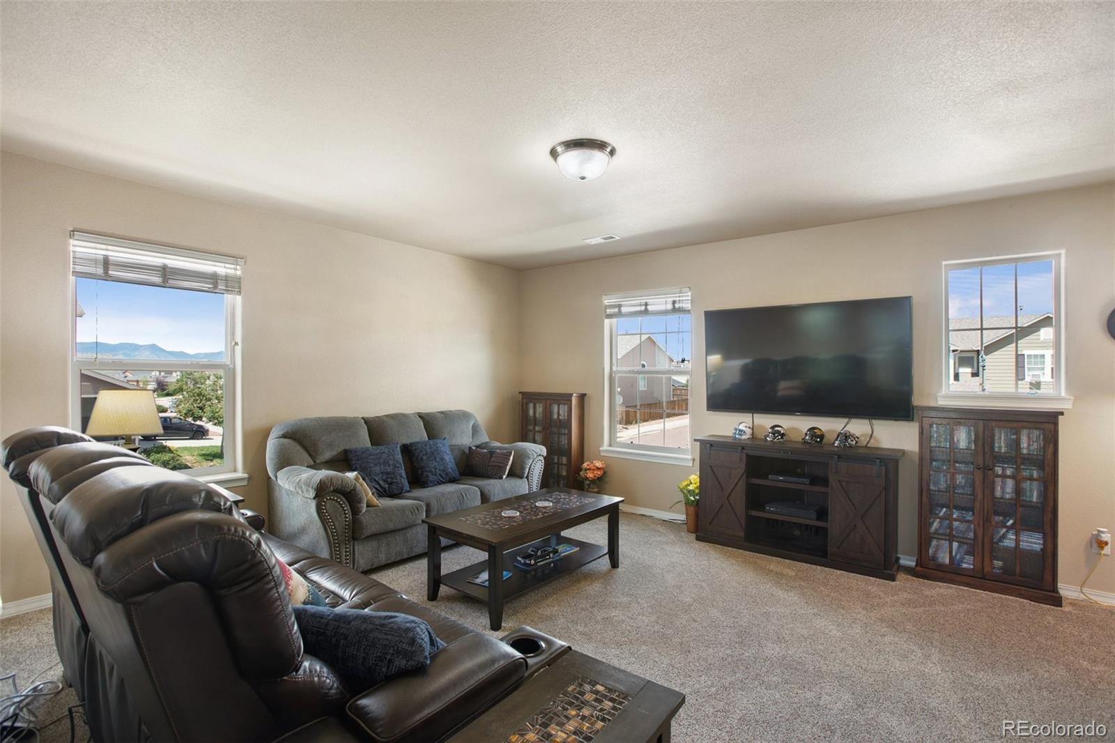 MLS Image #17 for 6205  finglas drive,colorado springs, Colorado