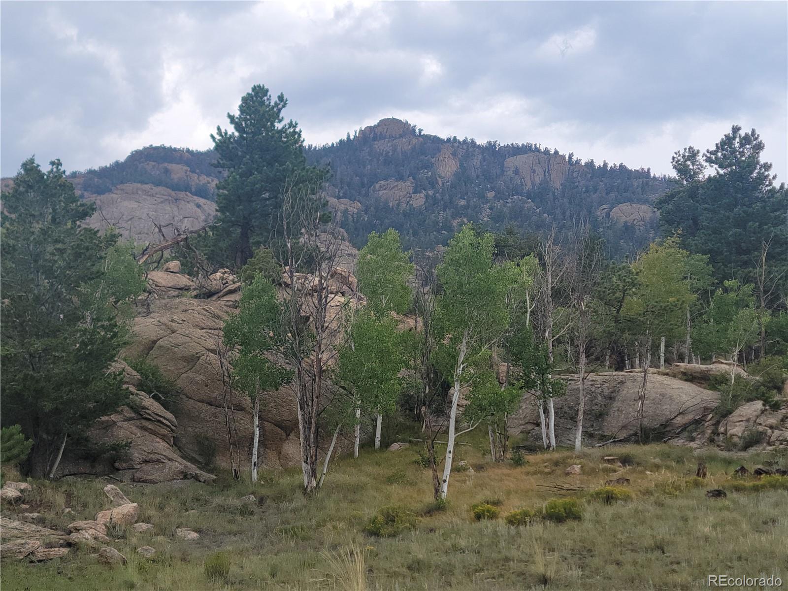 MLS Image #9 for 61  garnet lane,lake george, Colorado