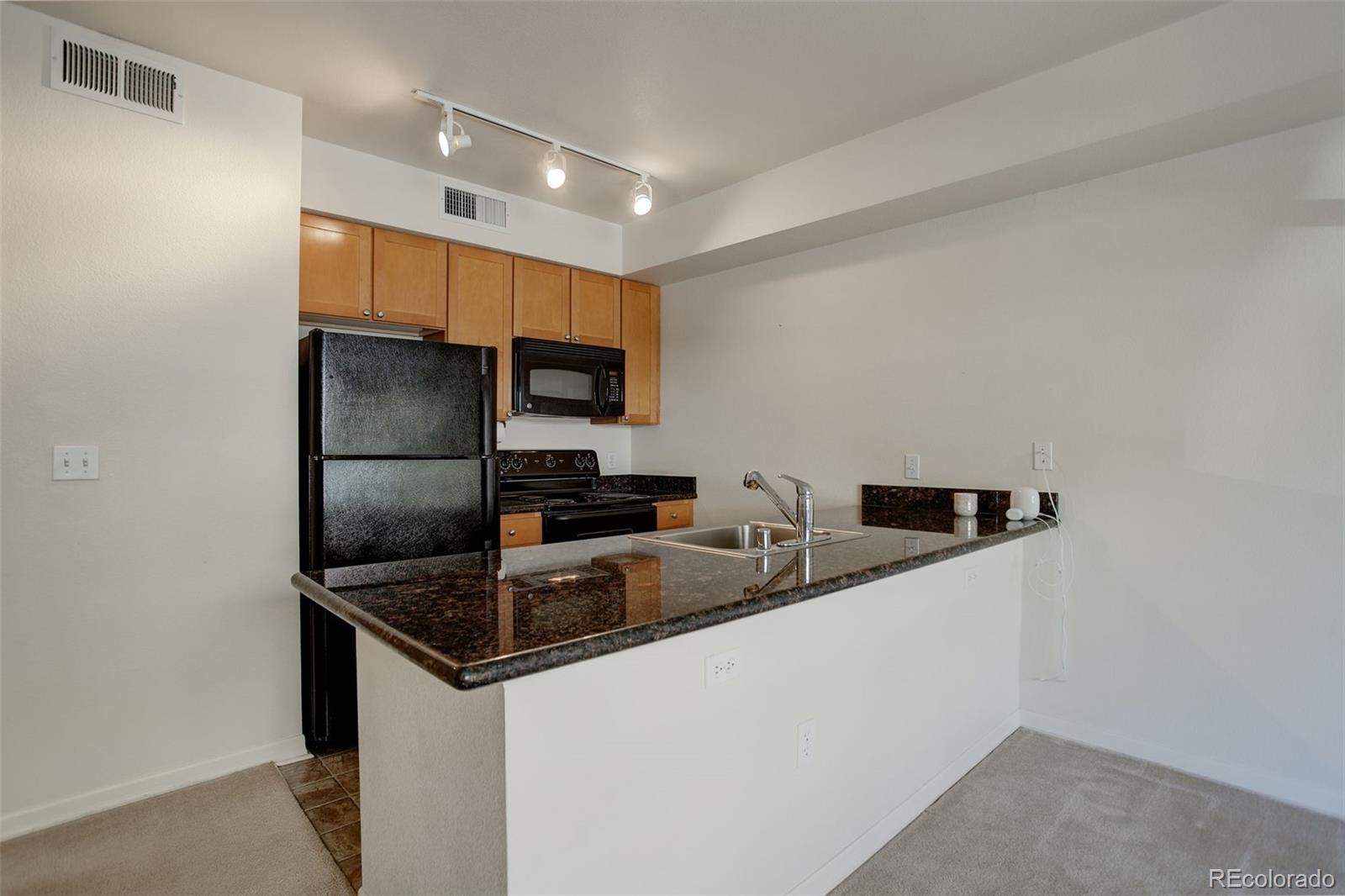 MLS Image #9 for 1623  saint paul street,denver, Colorado