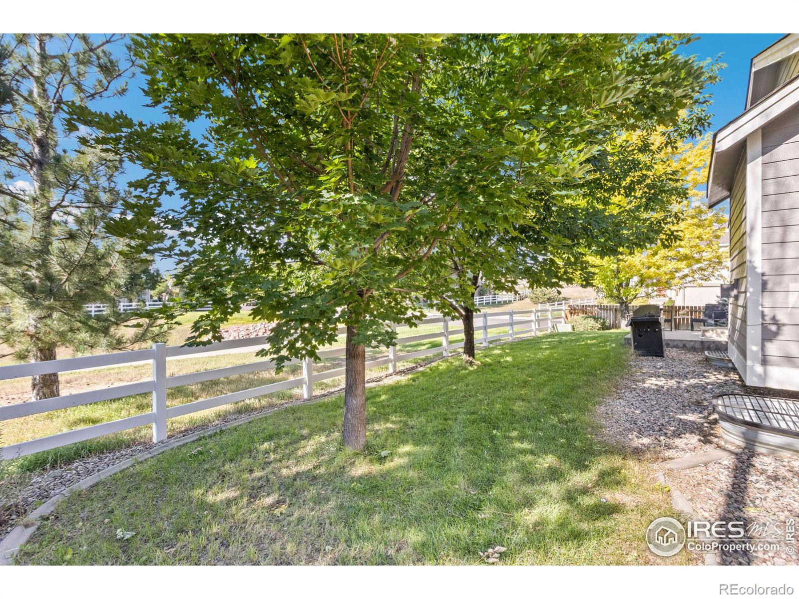 MLS Image #26 for 1539  sea wolf court,fort collins, Colorado