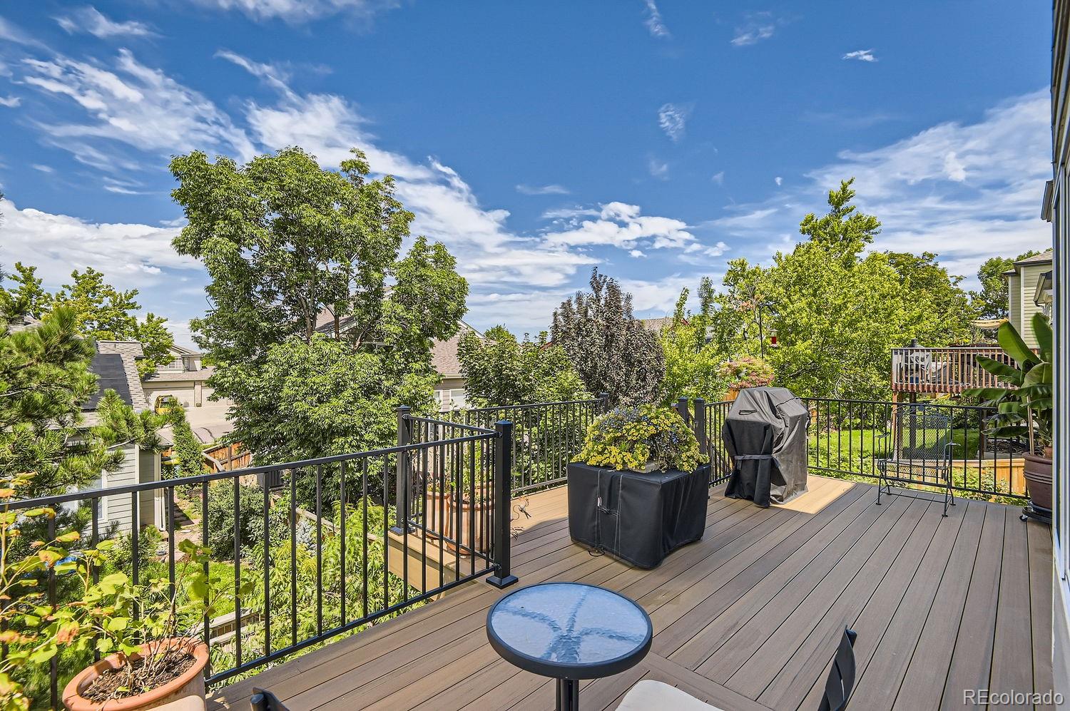 MLS Image #30 for 453  bexley court,highlands ranch, Colorado