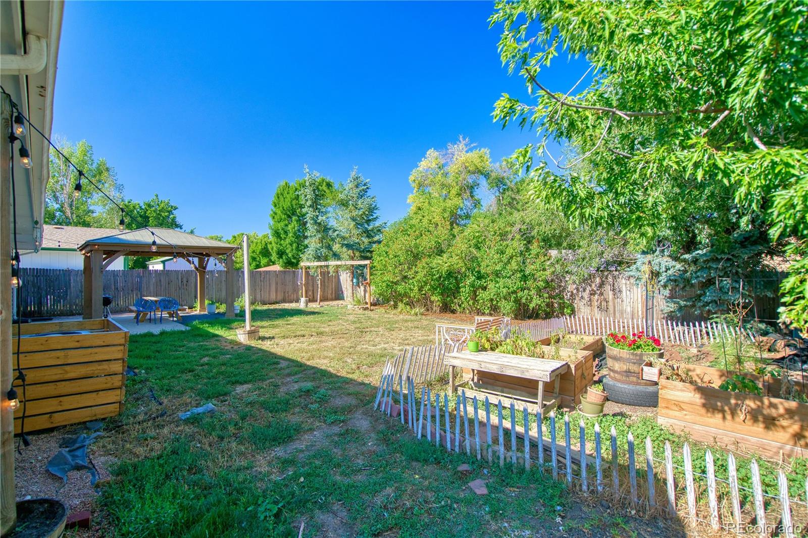 MLS Image #5 for 531  alpine street,longmont, Colorado