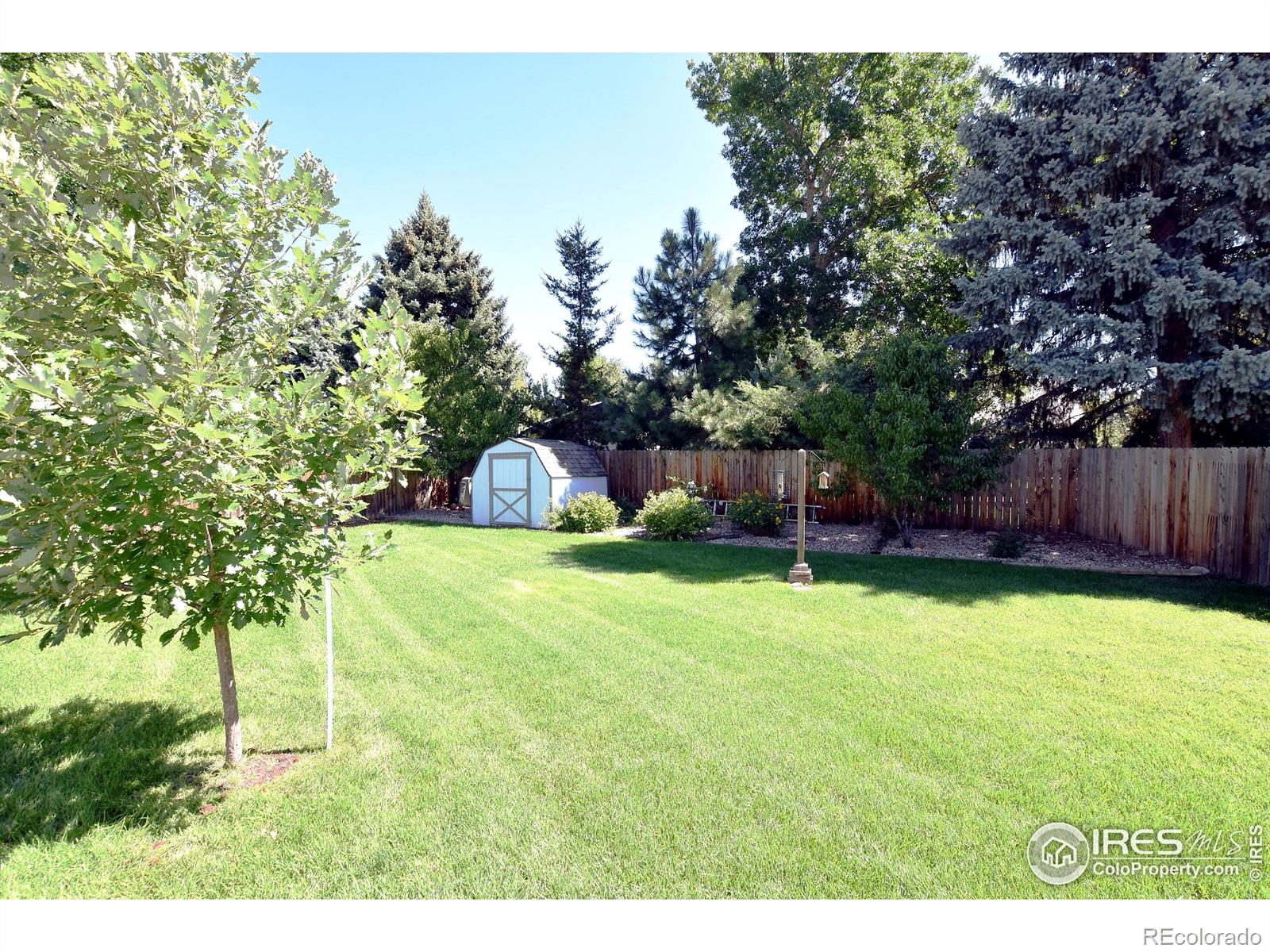 MLS Image #38 for 3730  coronado avenue,fort collins, Colorado