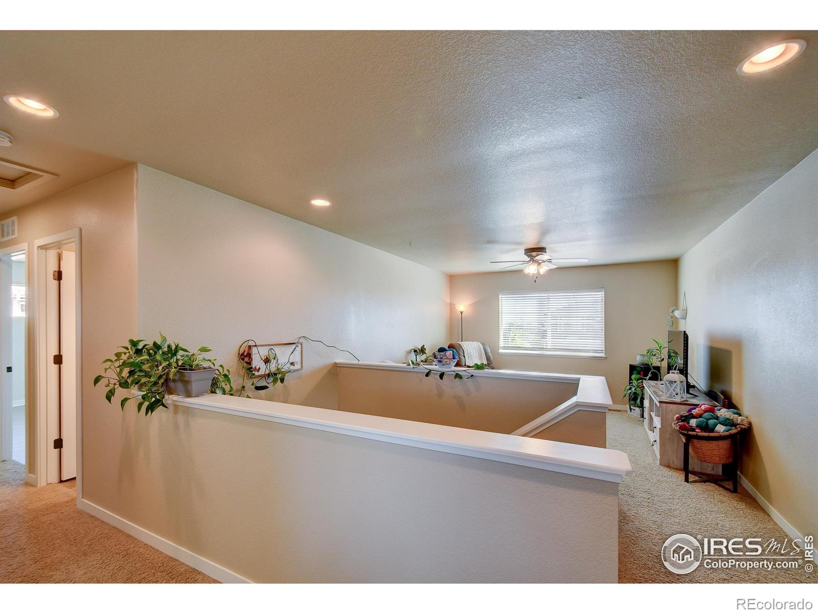 MLS Image #21 for 3838  fig tree street,wellington, Colorado