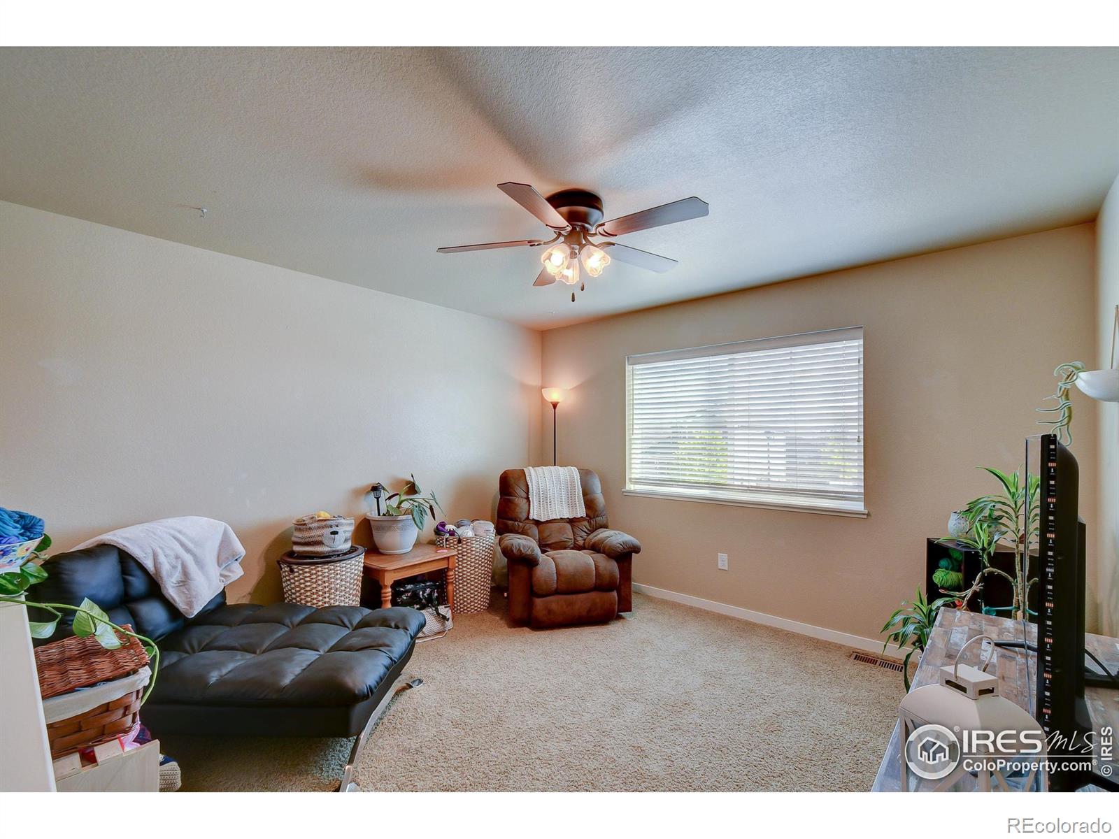 MLS Image #23 for 3838  fig tree street,wellington, Colorado