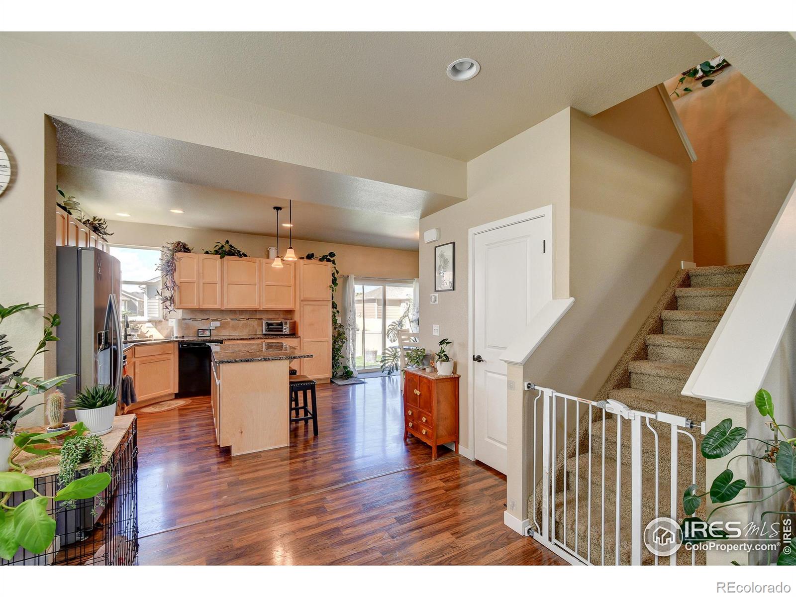 MLS Image #9 for 3838  fig tree street,wellington, Colorado