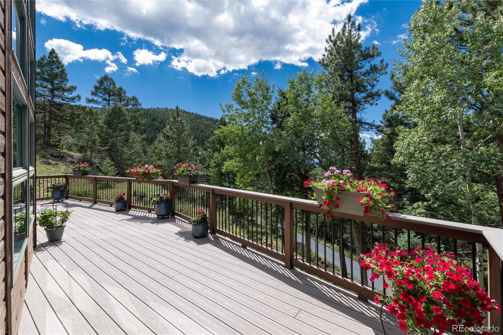 MLS Image #3 for 13328  elsie road,conifer, Colorado