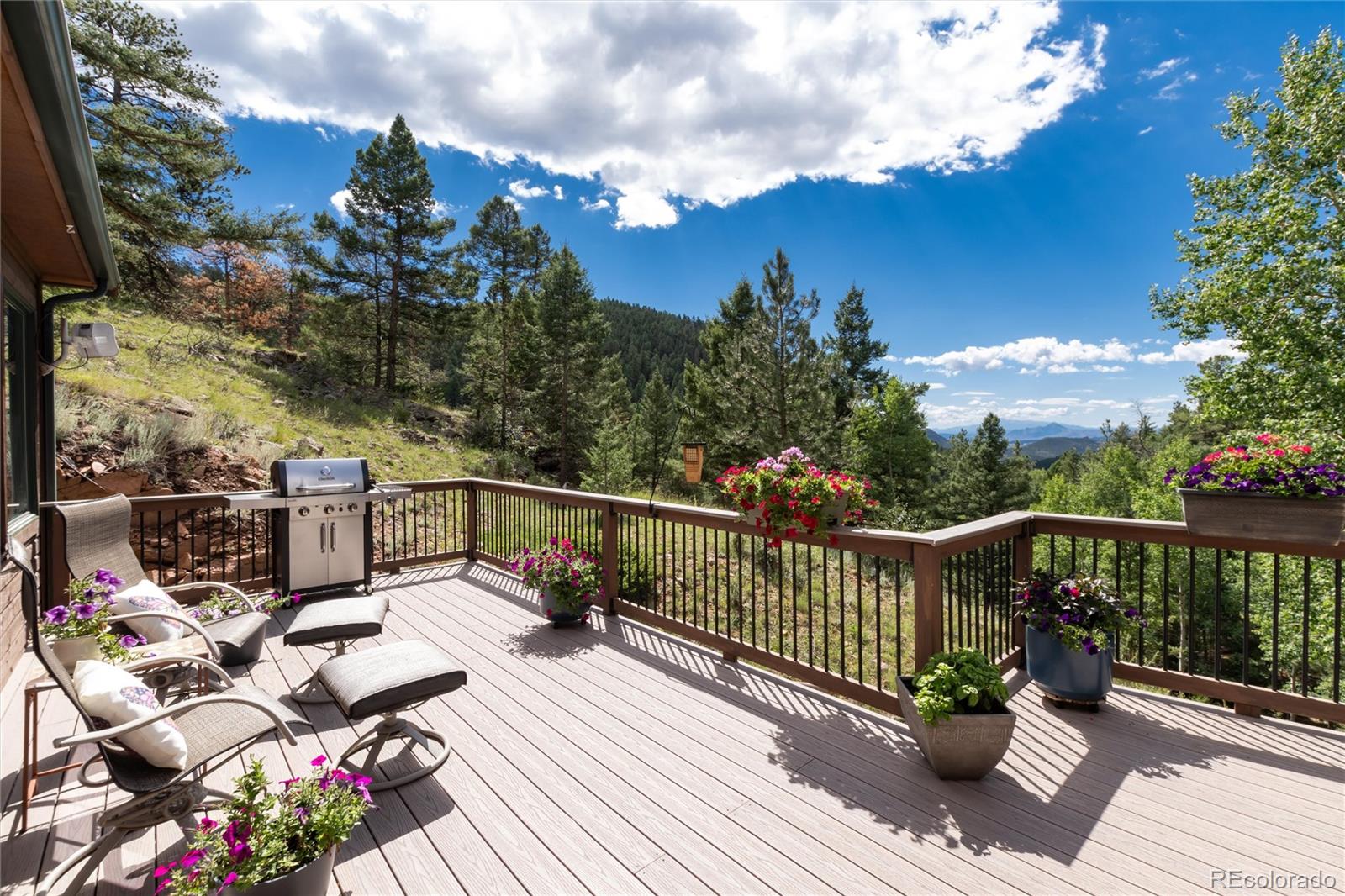 MLS Image #5 for 13328  elsie road,conifer, Colorado