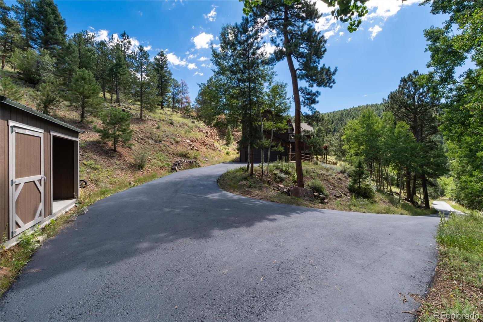 MLS Image #6 for 13328  elsie road,conifer, Colorado