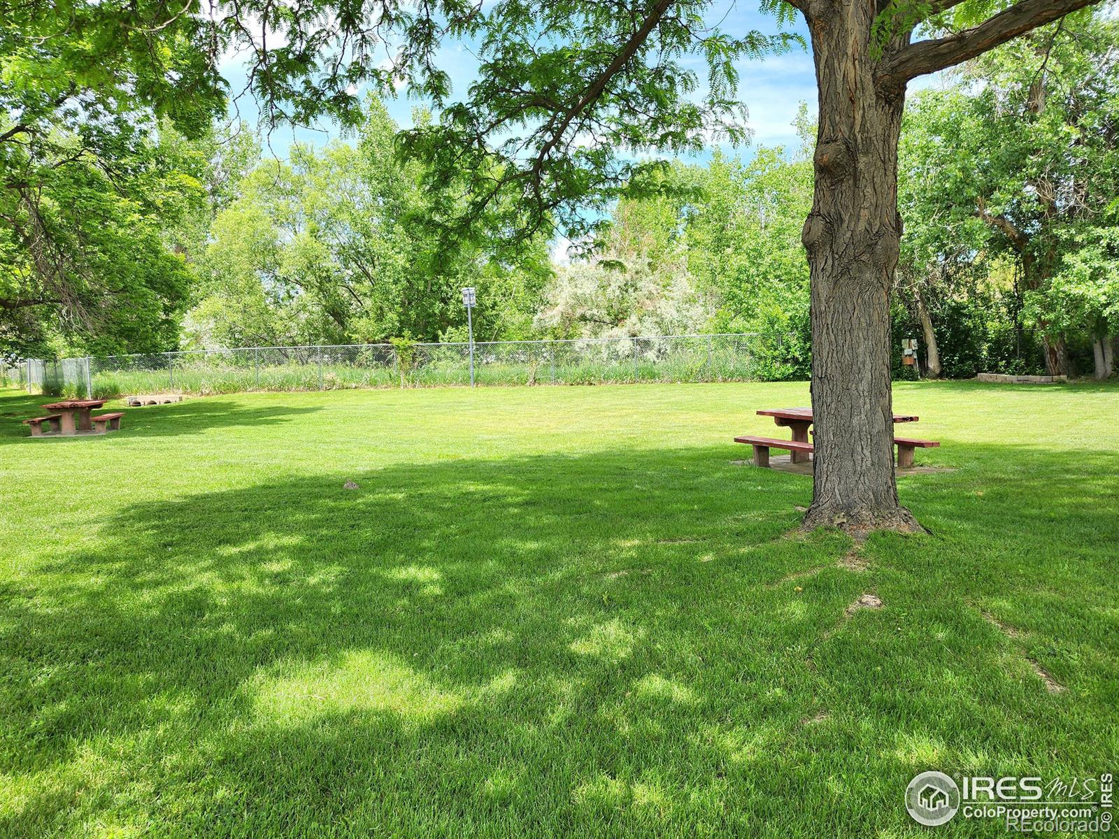 MLS Image #38 for 2228  eagle drive,loveland, Colorado