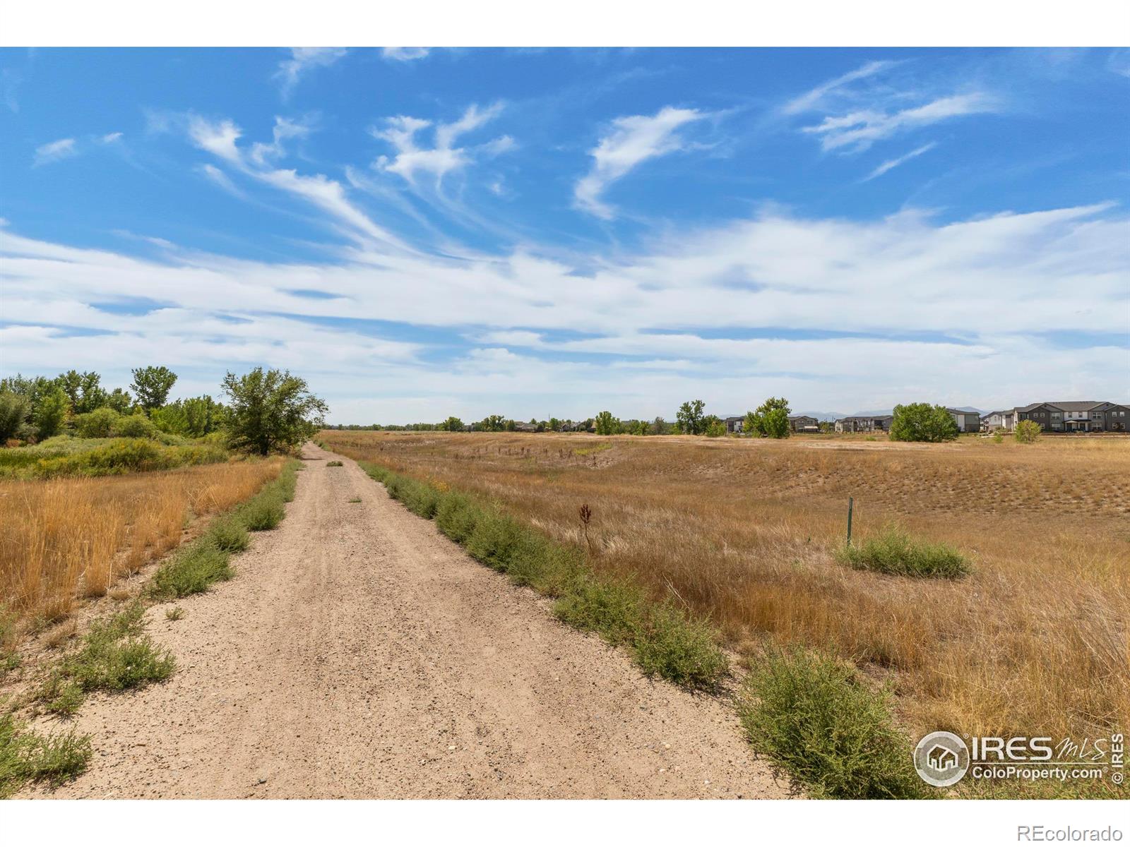 MLS Image #12 for 108  montgomery drive,erie, Colorado