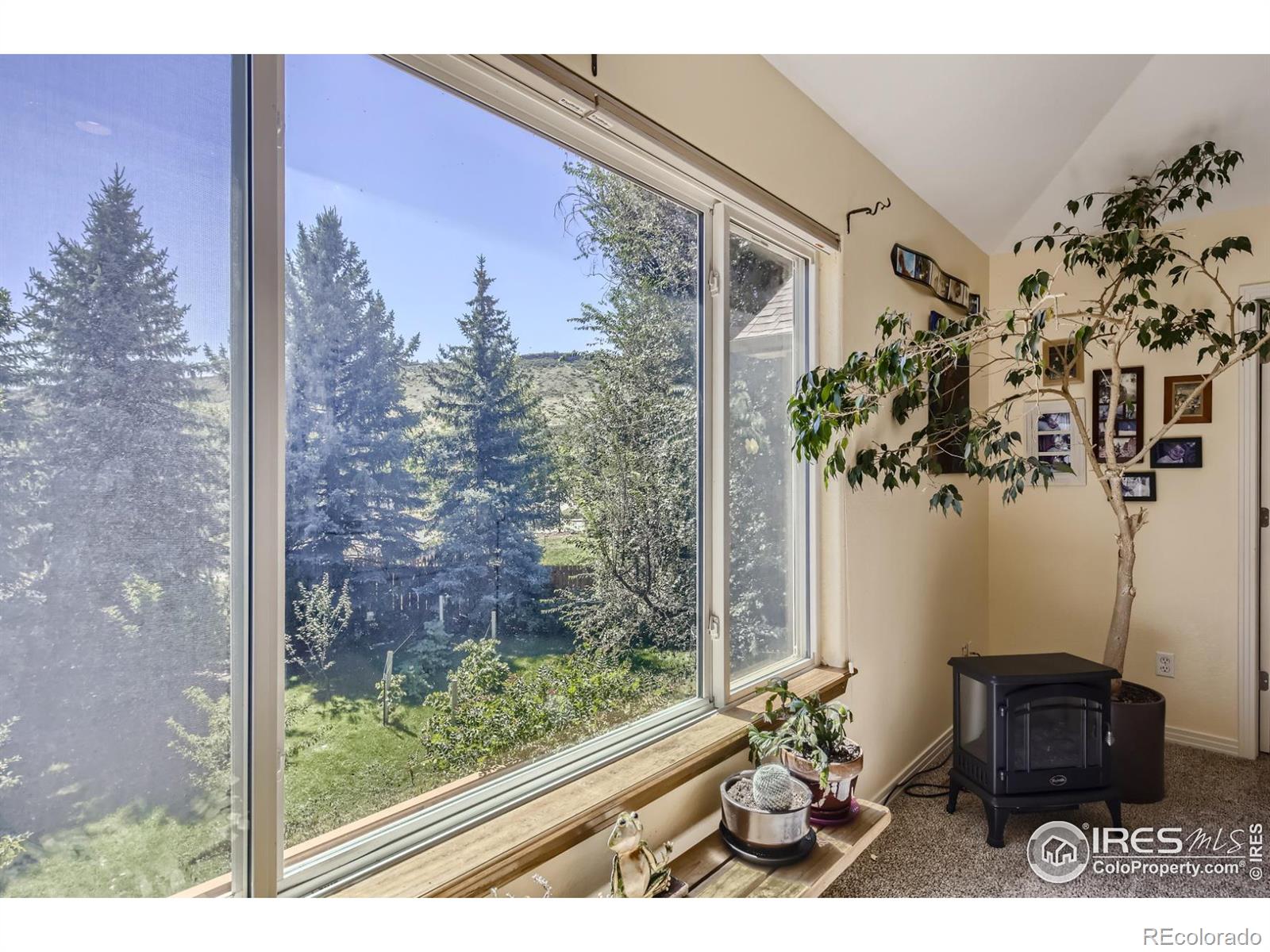 MLS Image #14 for 209  welch court,lyons, Colorado