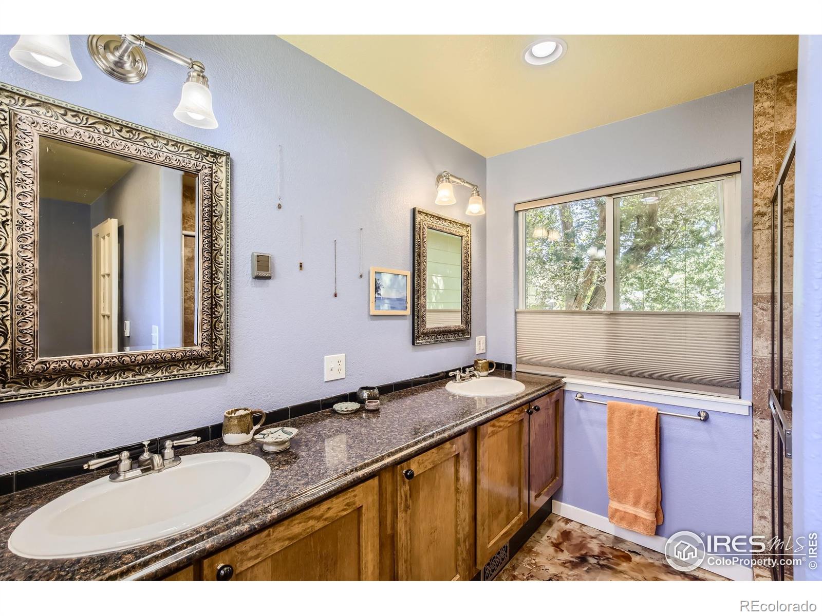 MLS Image #15 for 209  welch court,lyons, Colorado