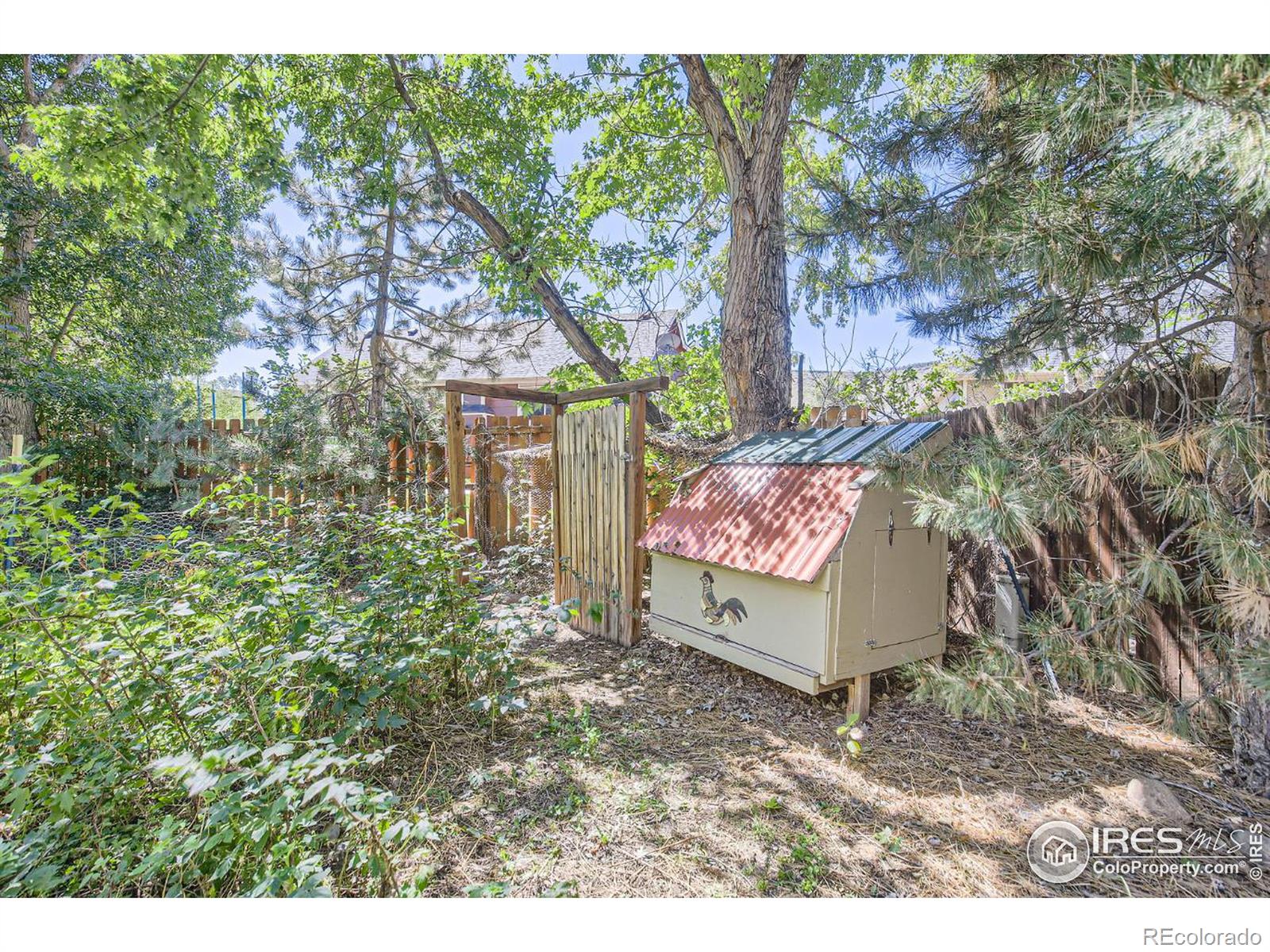 MLS Image #29 for 209  welch court,lyons, Colorado