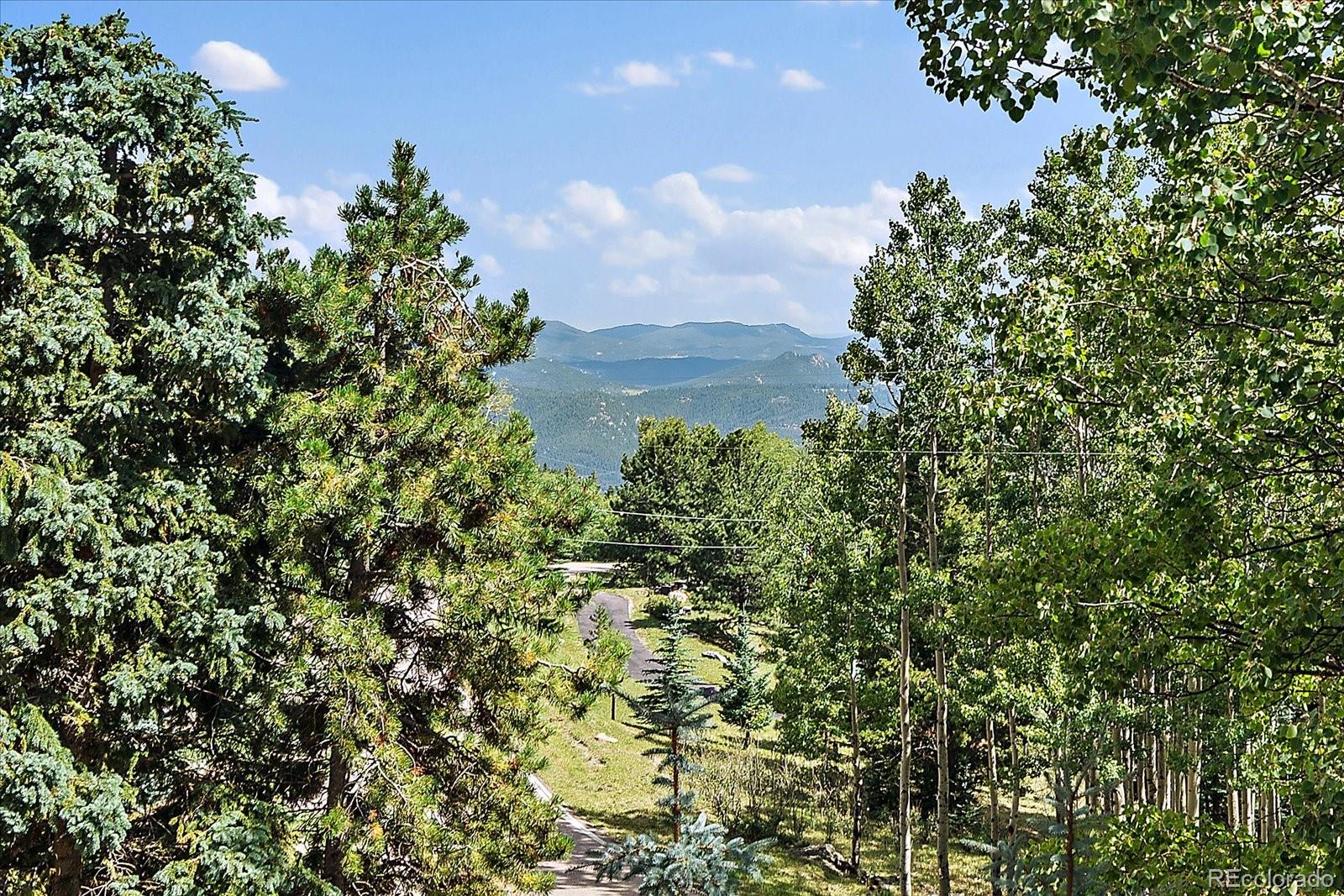 MLS Image #3 for 4388  witter gulch road,evergreen, Colorado