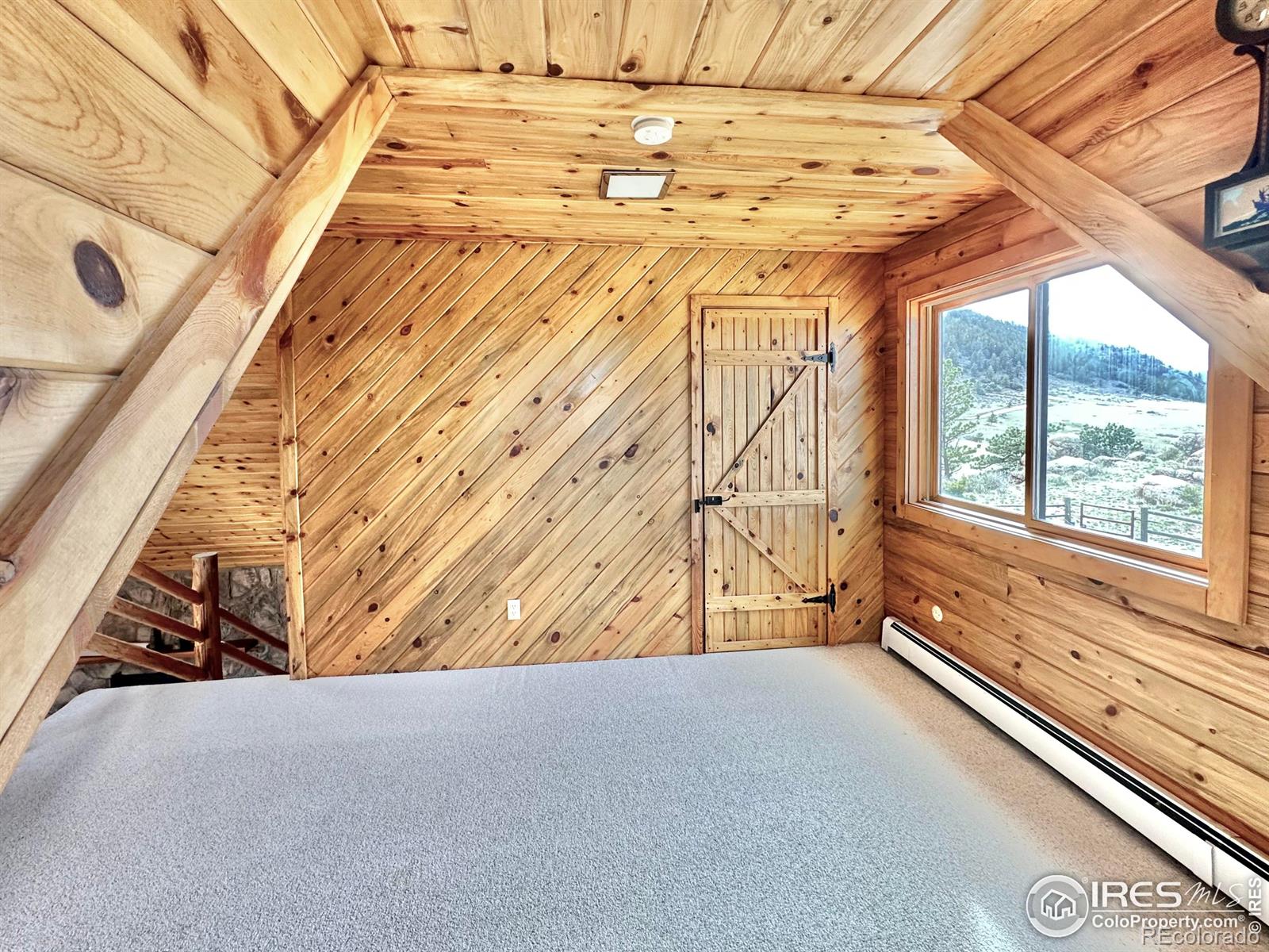 MLS Image #10 for 2004  bonner springs ranch road,laporte, Colorado