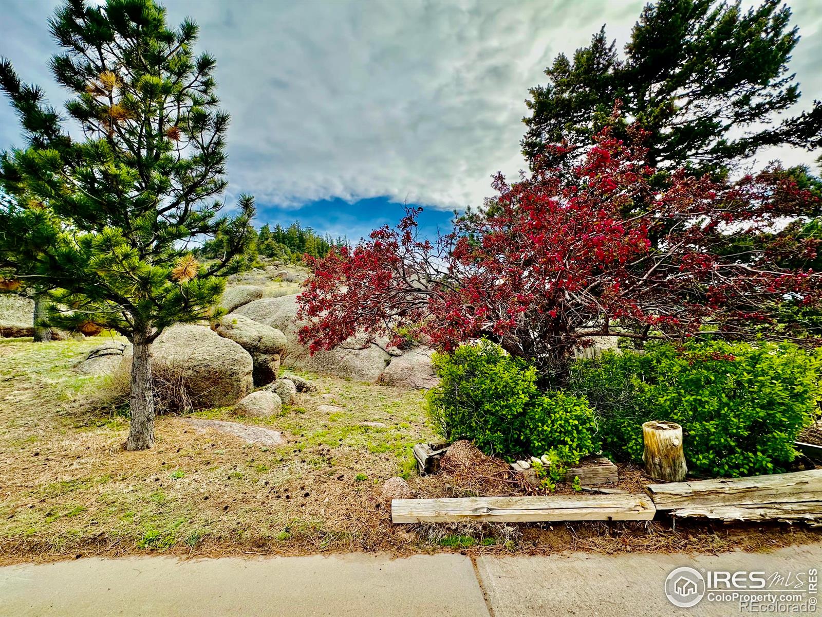 MLS Image #2 for 2004  bonner springs ranch road,laporte, Colorado