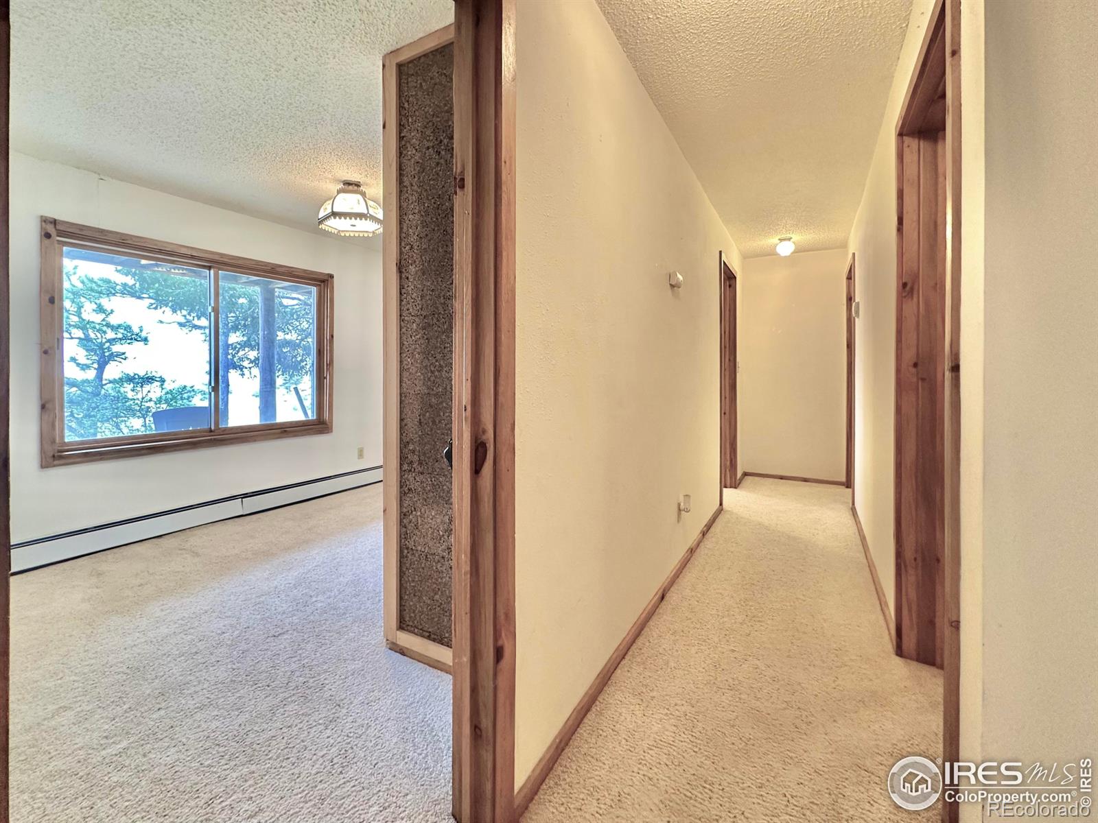 MLS Image #23 for 2004  bonner springs ranch road,laporte, Colorado