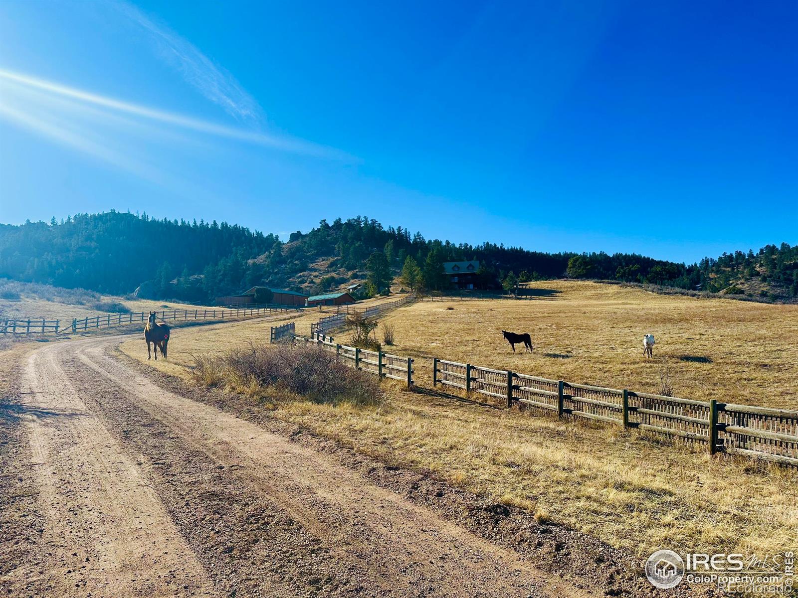 MLS Image #5 for 2004  bonner springs ranch road,laporte, Colorado