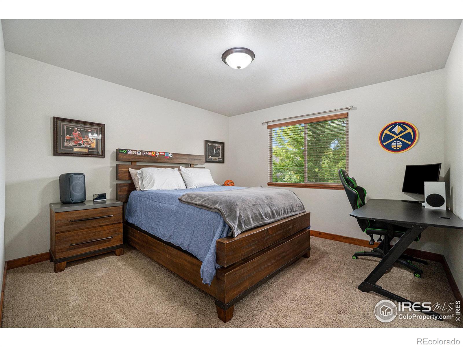 MLS Image #19 for 528  trout creek court,windsor, Colorado