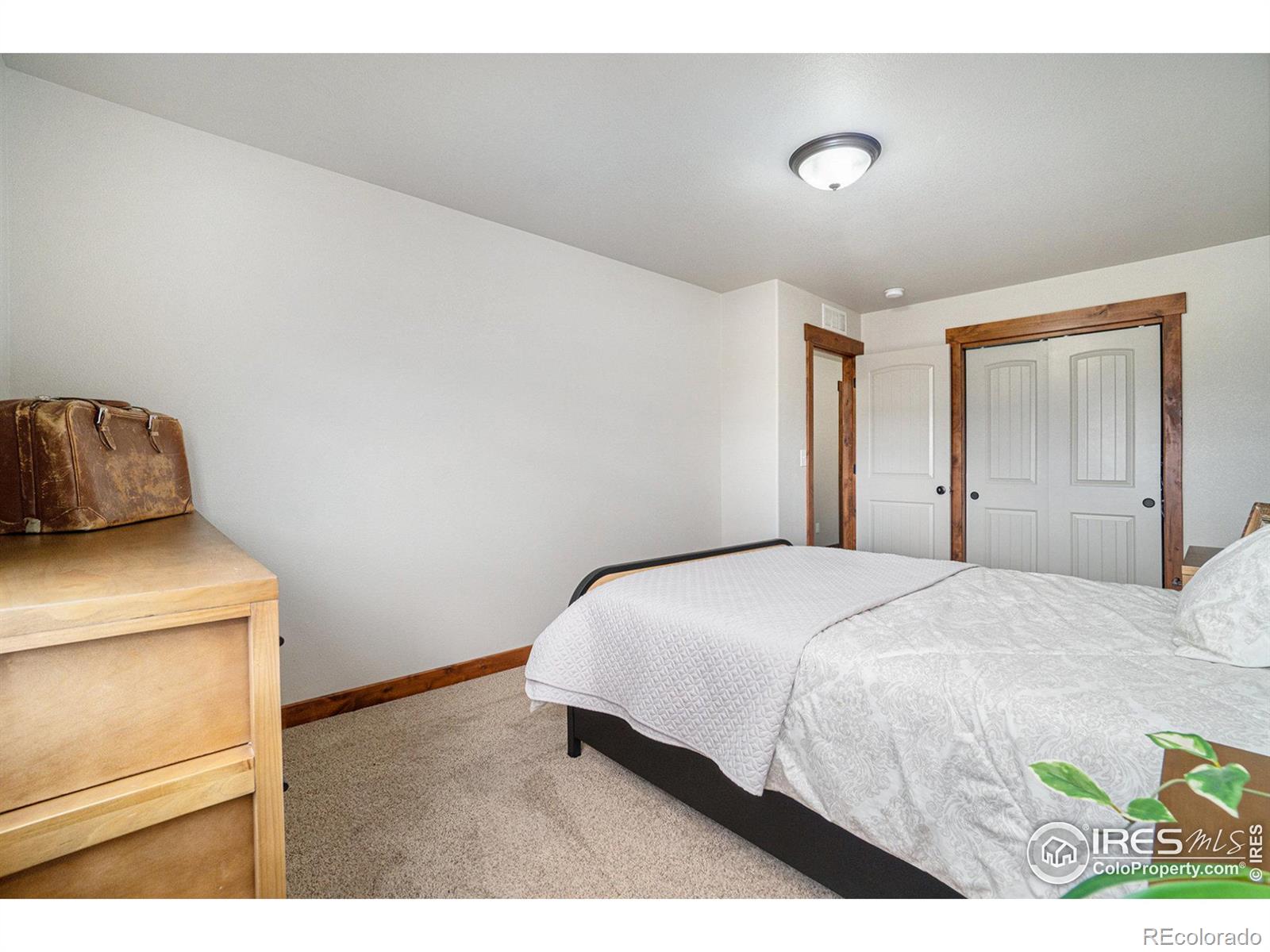 MLS Image #23 for 528  trout creek court,windsor, Colorado