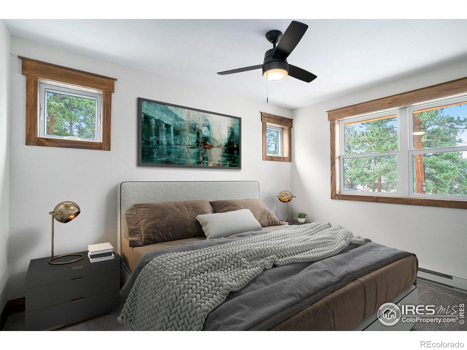 MLS Image #16 for 920  saxon court ,estes park, Colorado