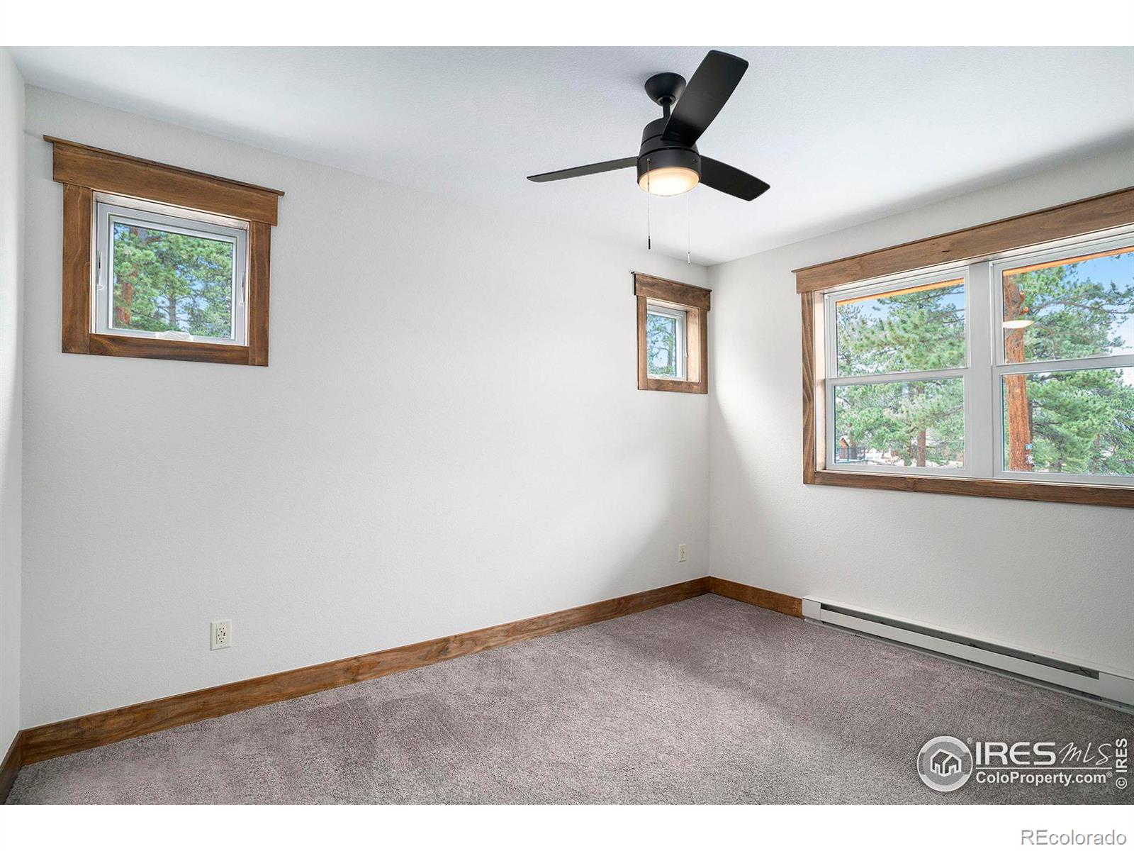 MLS Image #17 for 920  saxon court ,estes park, Colorado