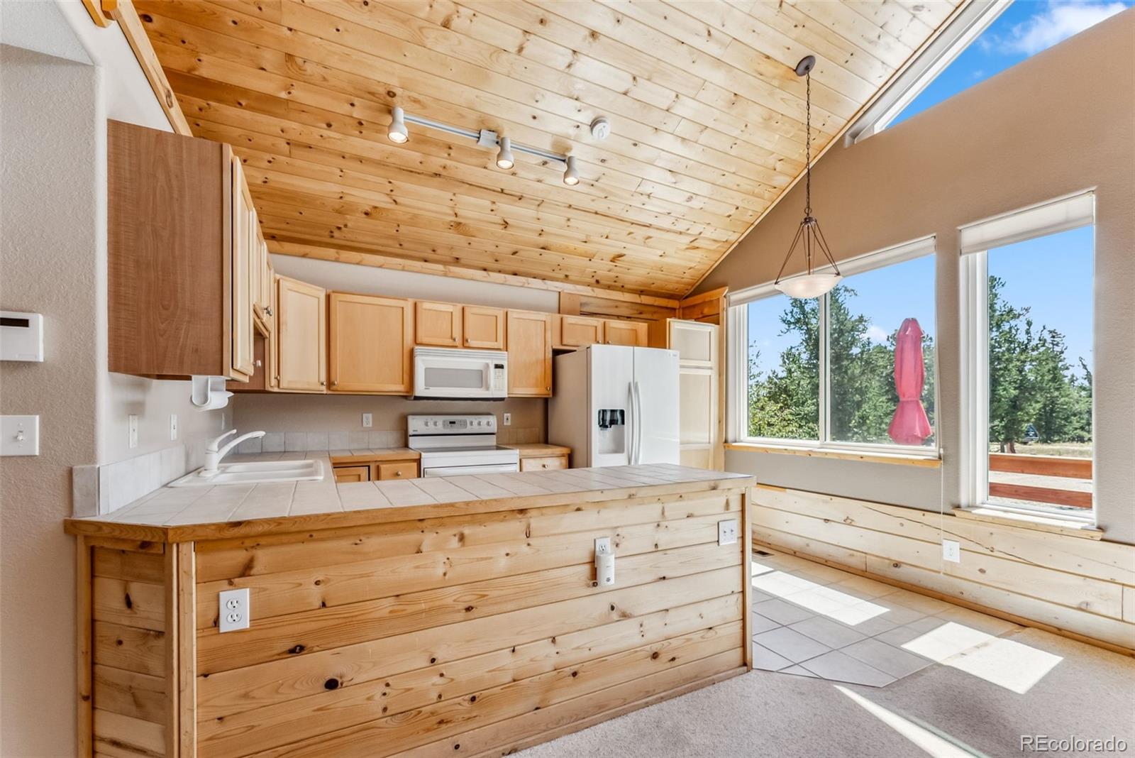 MLS Image #6 for 2080  mullenville road,fairplay, Colorado