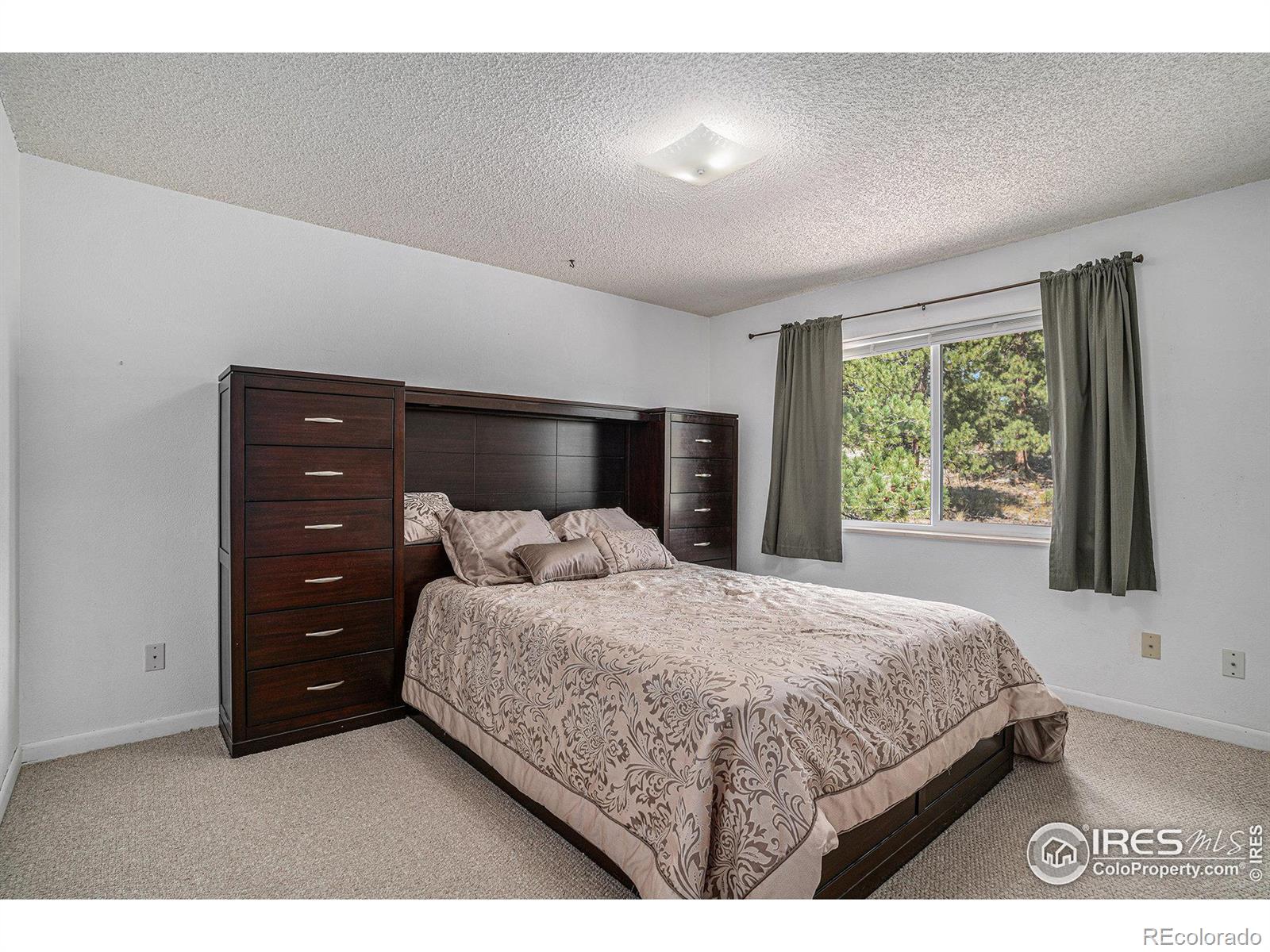 MLS Image #16 for 1331  willow lane,estes park, Colorado