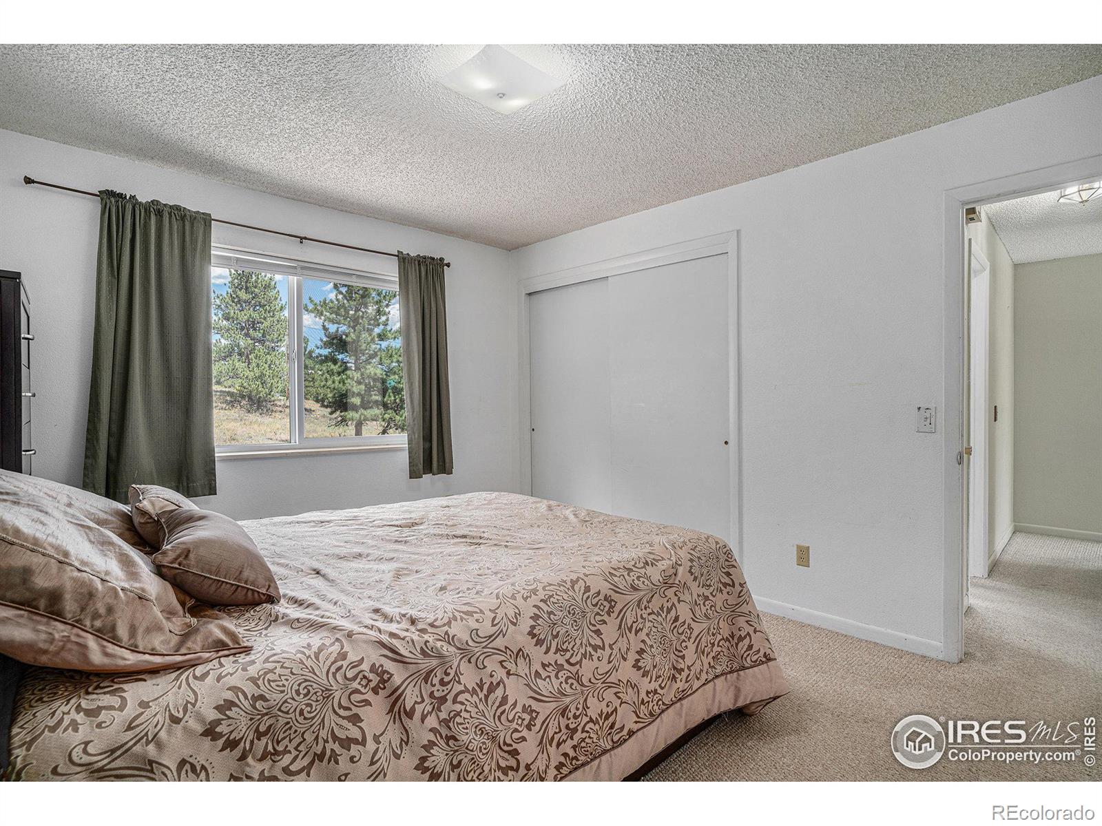 MLS Image #17 for 1331  willow lane,estes park, Colorado