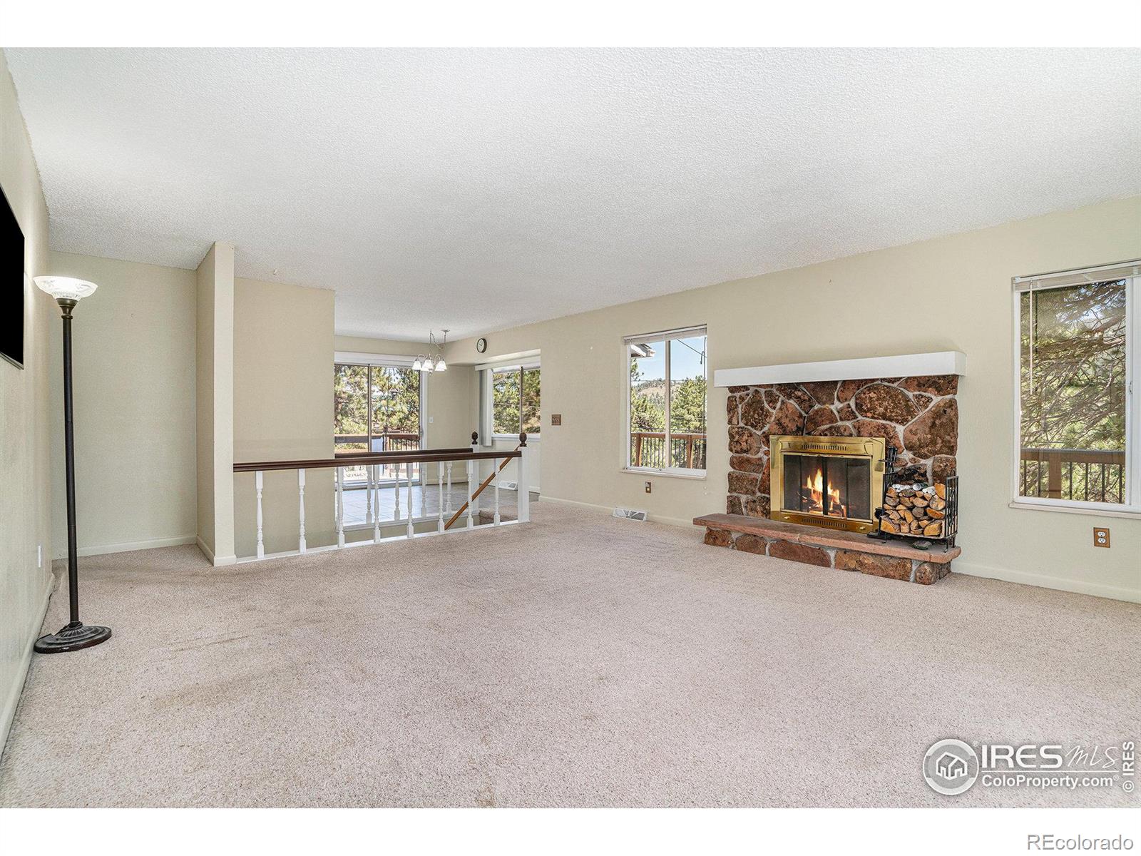 MLS Image #6 for 1331  willow lane,estes park, Colorado