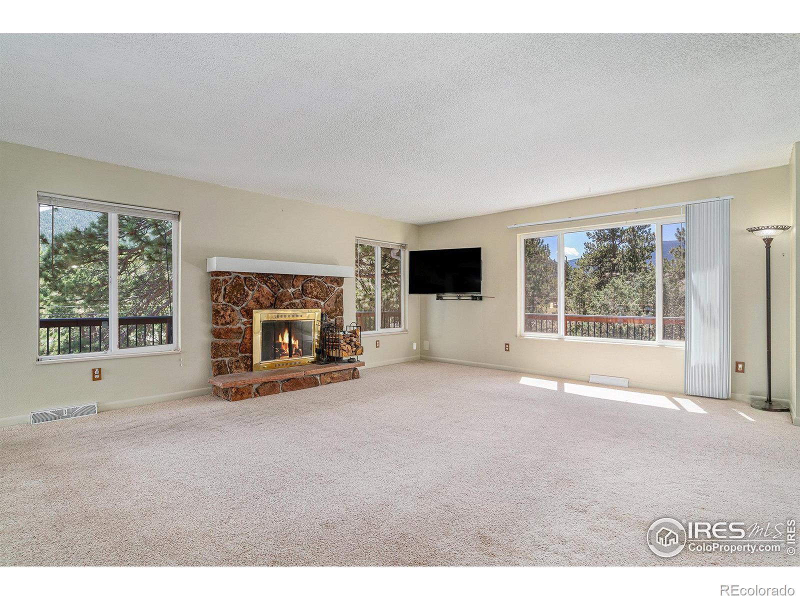 MLS Image #7 for 1331  willow lane,estes park, Colorado
