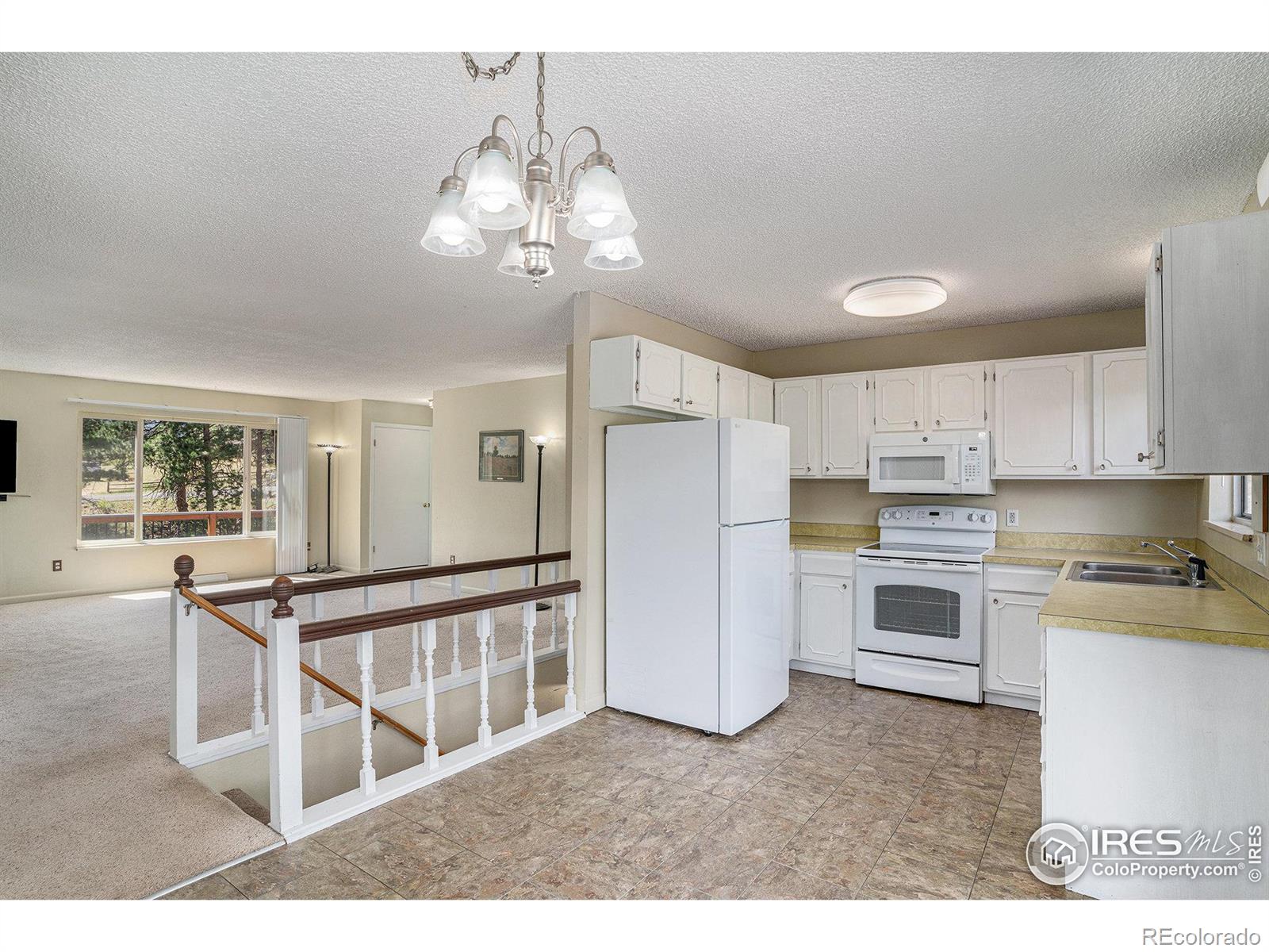 MLS Image #9 for 1331  willow lane,estes park, Colorado