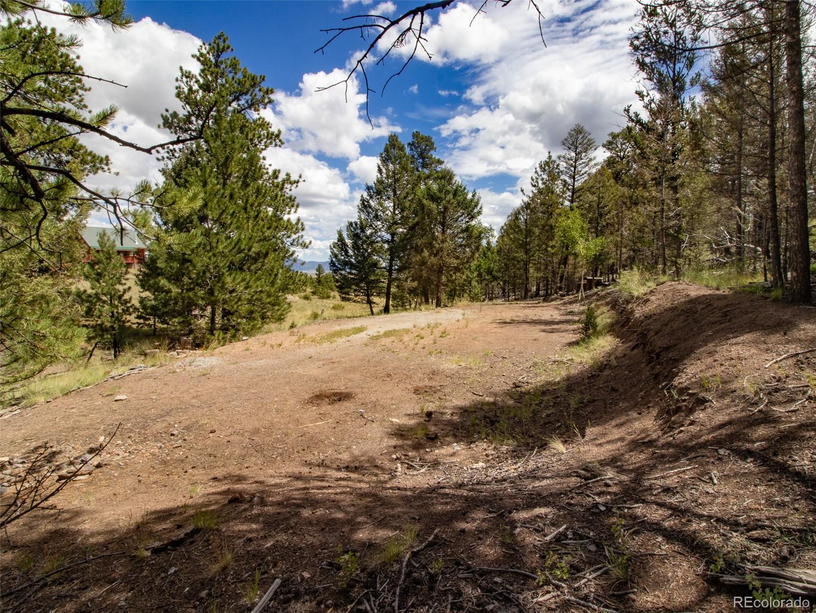 MLS Image #20 for 172  wolfe road,hartsel, Colorado