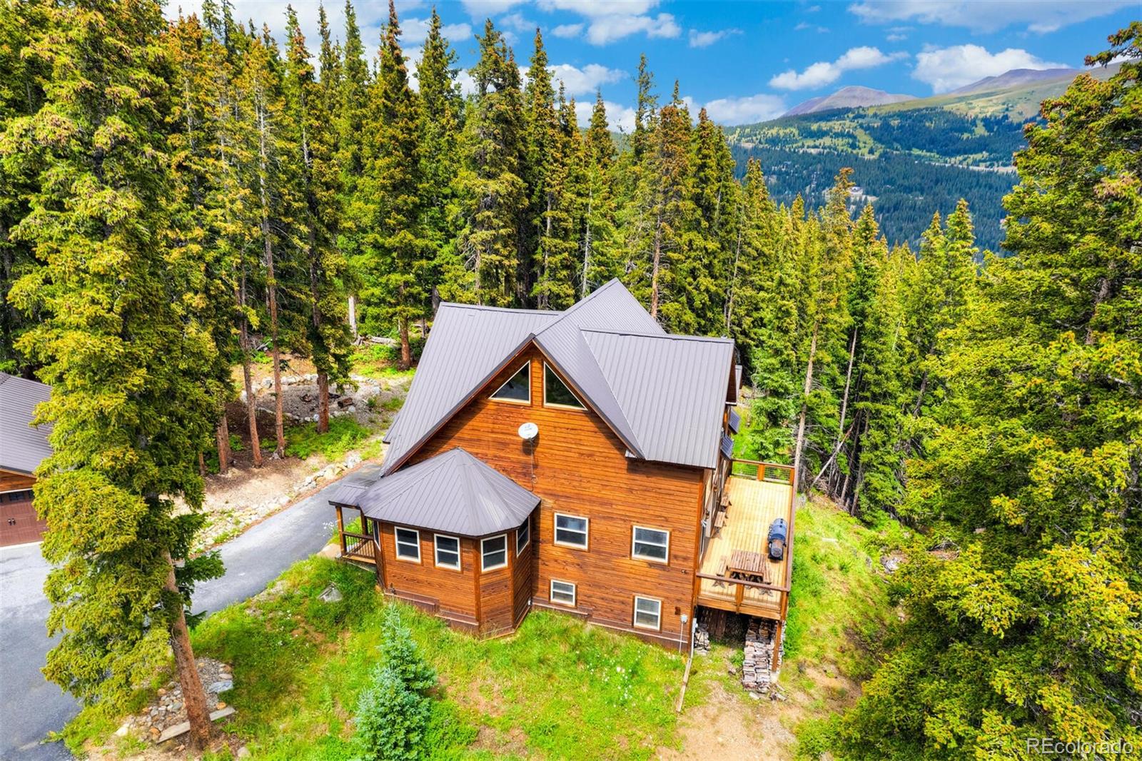 MLS Image #3 for 62  lazy rex road,alma, Colorado