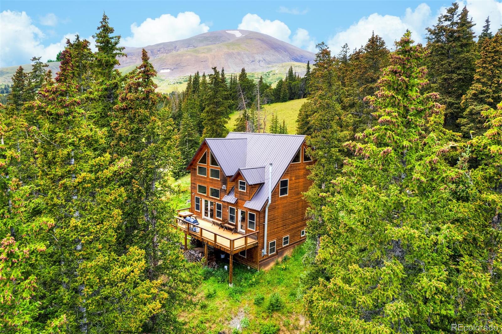 MLS Image #44 for 62  lazy rex road,alma, Colorado