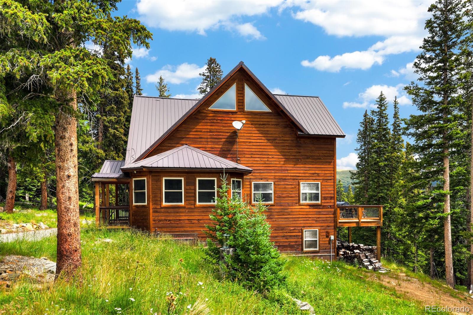 MLS Image #48 for 62  lazy rex road,alma, Colorado