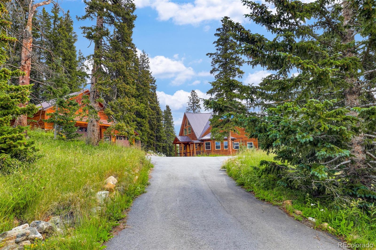 MLS Image #49 for 62  lazy rex road,alma, Colorado