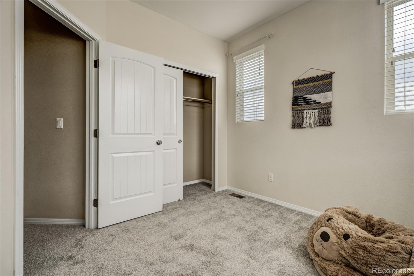 MLS Image #23 for 5253  prominence point,colorado springs, Colorado