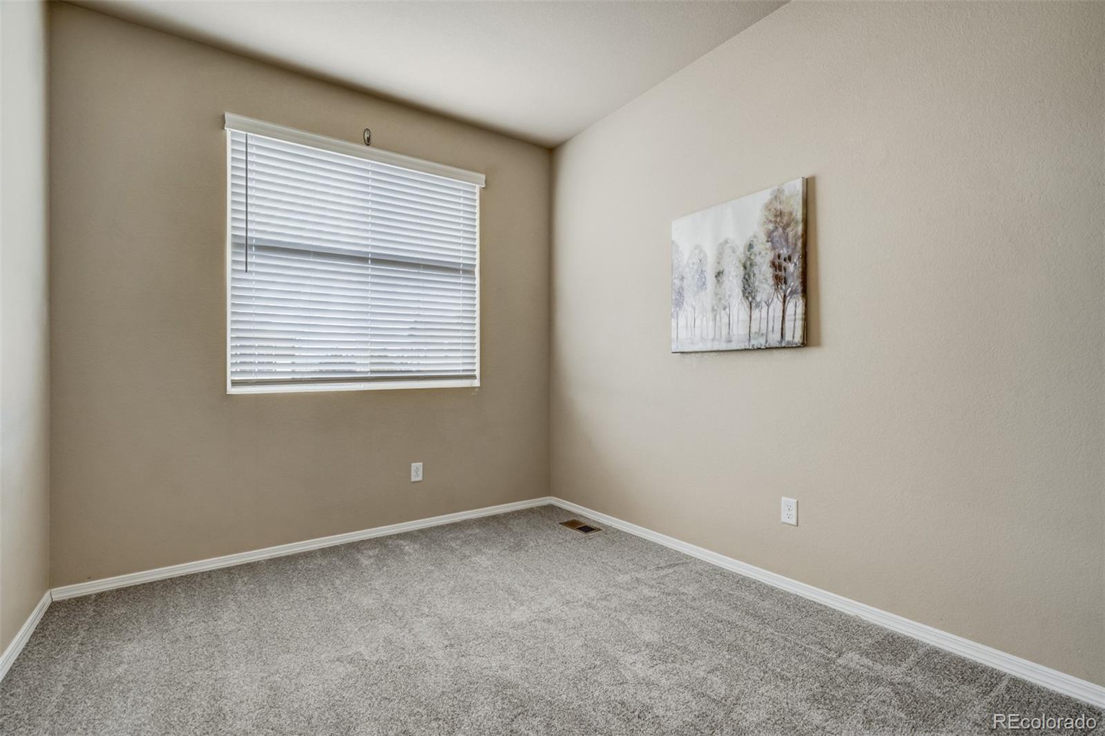 MLS Image #26 for 5253  prominence point,colorado springs, Colorado