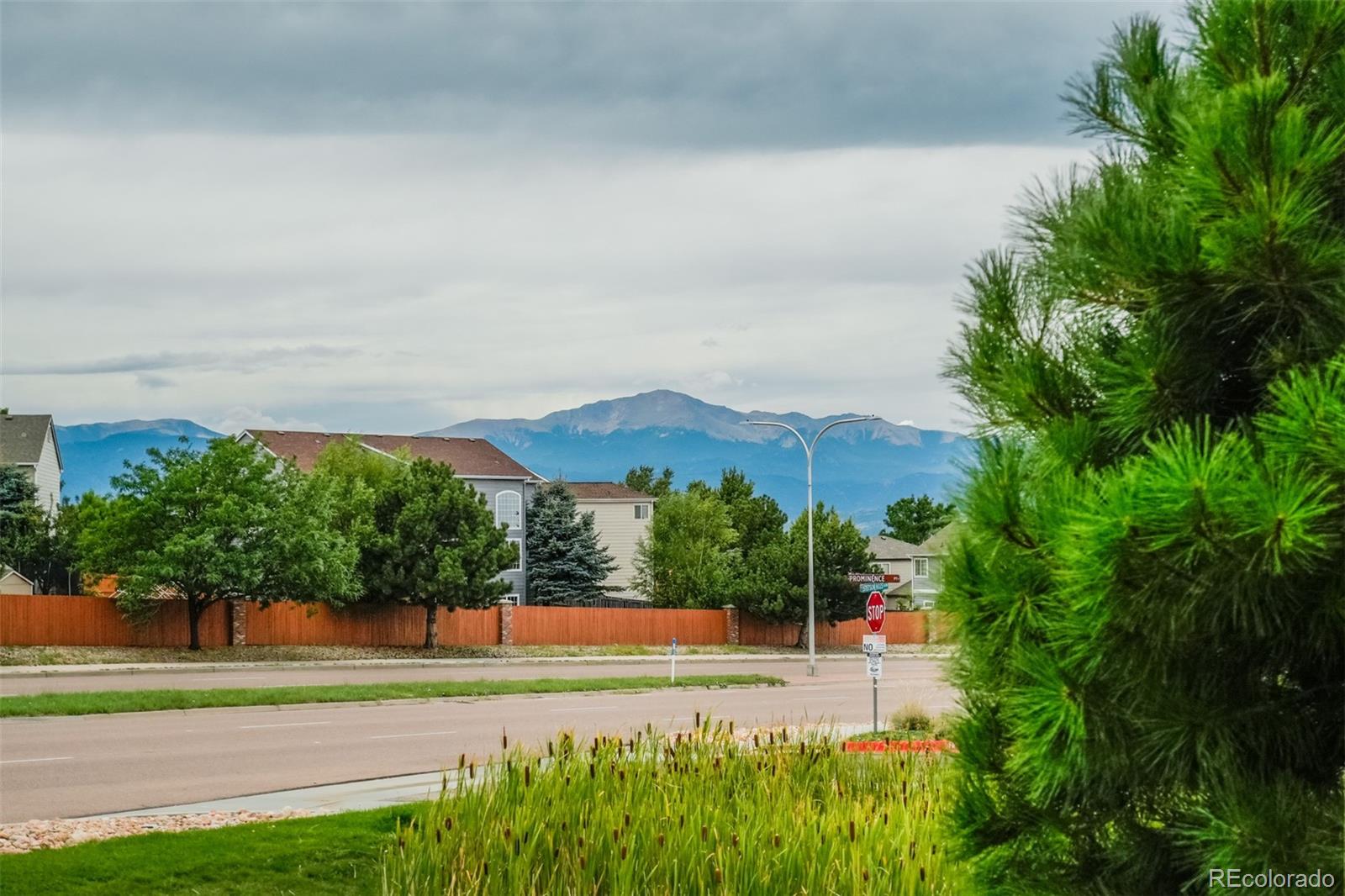 MLS Image #29 for 5253  prominence point,colorado springs, Colorado