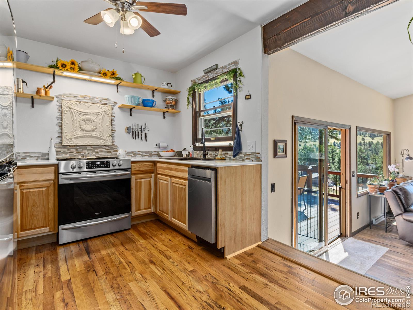 MLS Image #10 for 1230  country club drive,estes park, Colorado